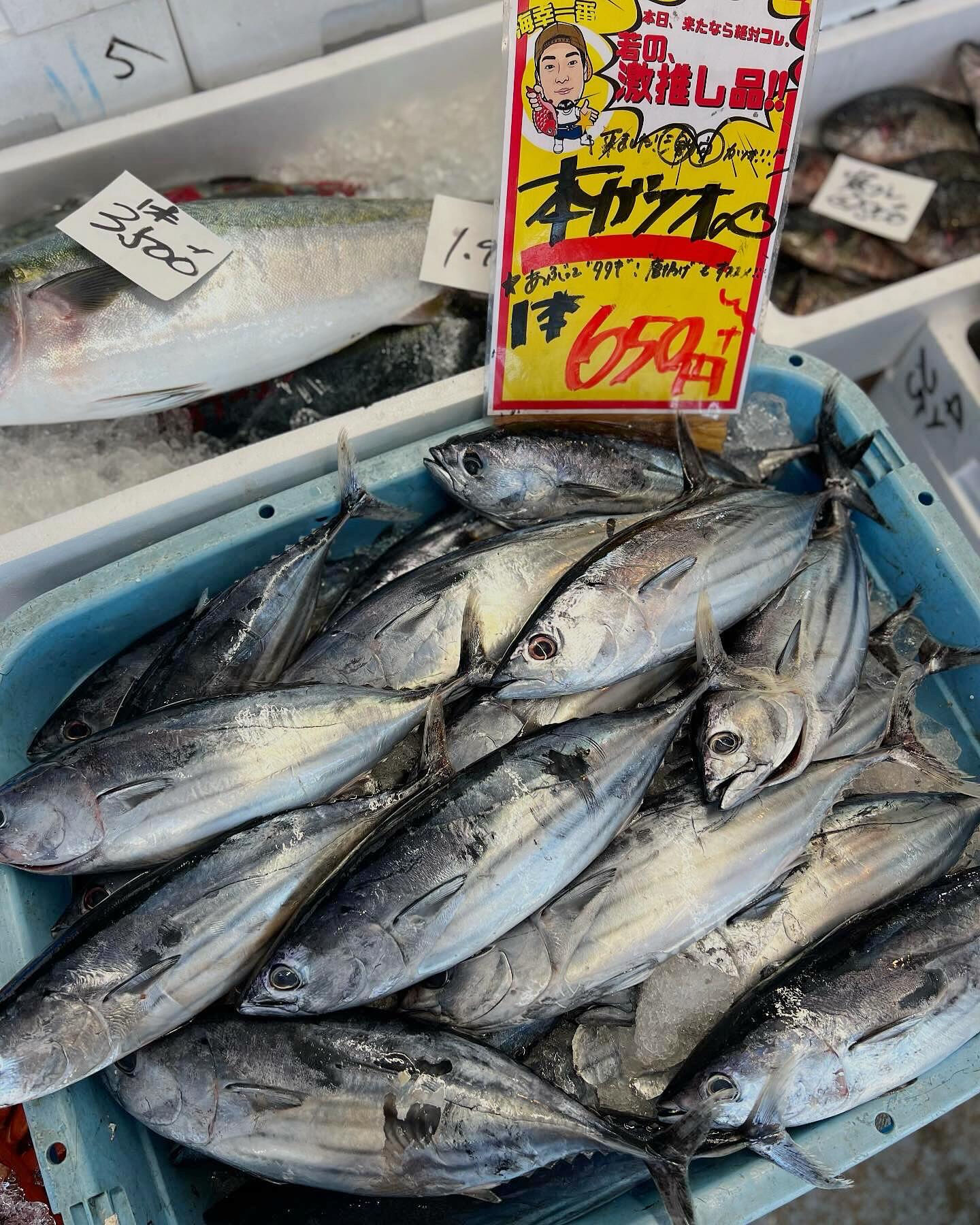 本日土曜日startしてます！！