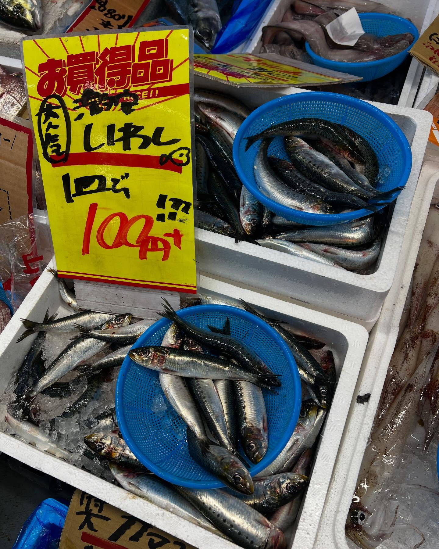 本日土曜日startしてます！！