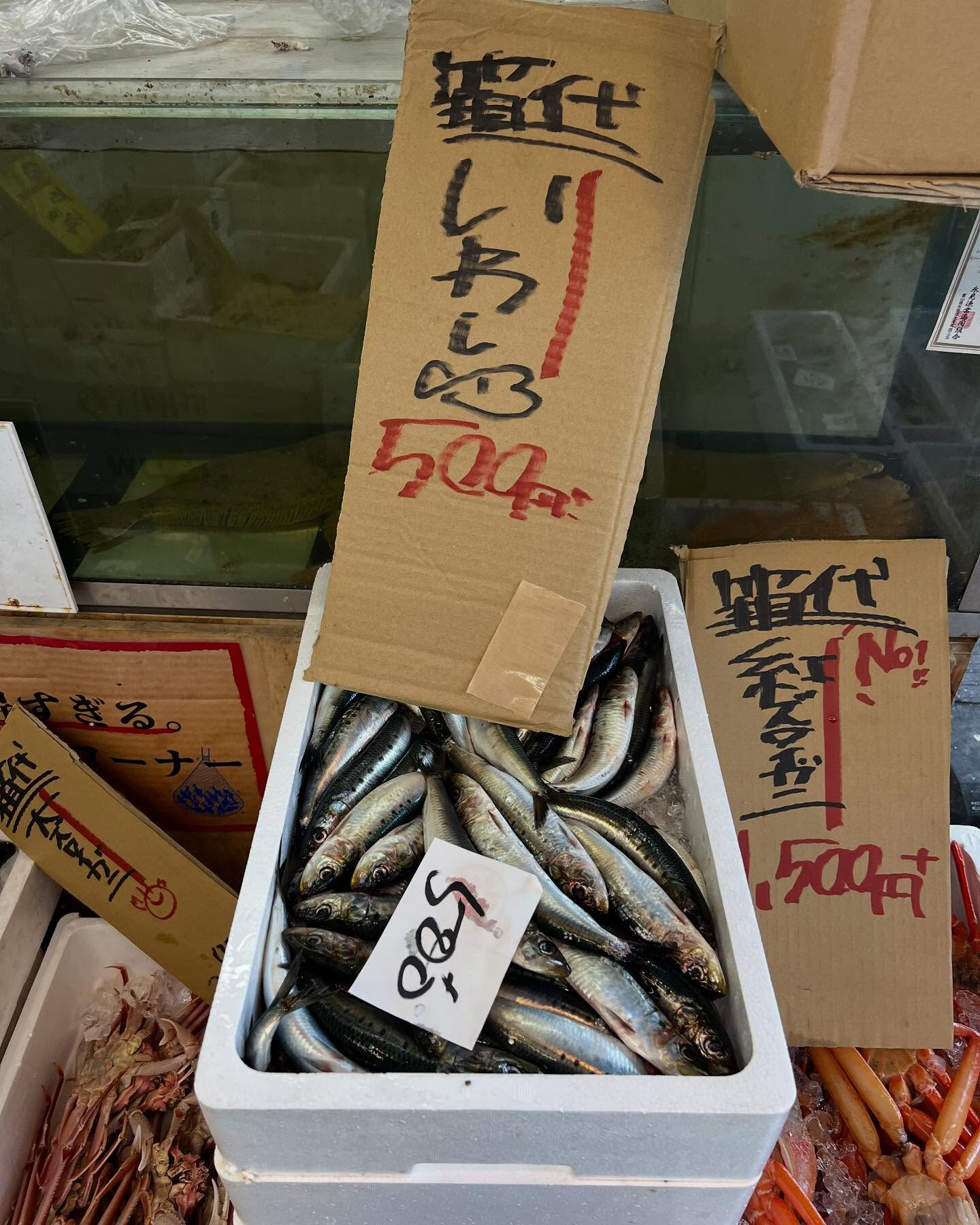 本日土曜日startしてます！！