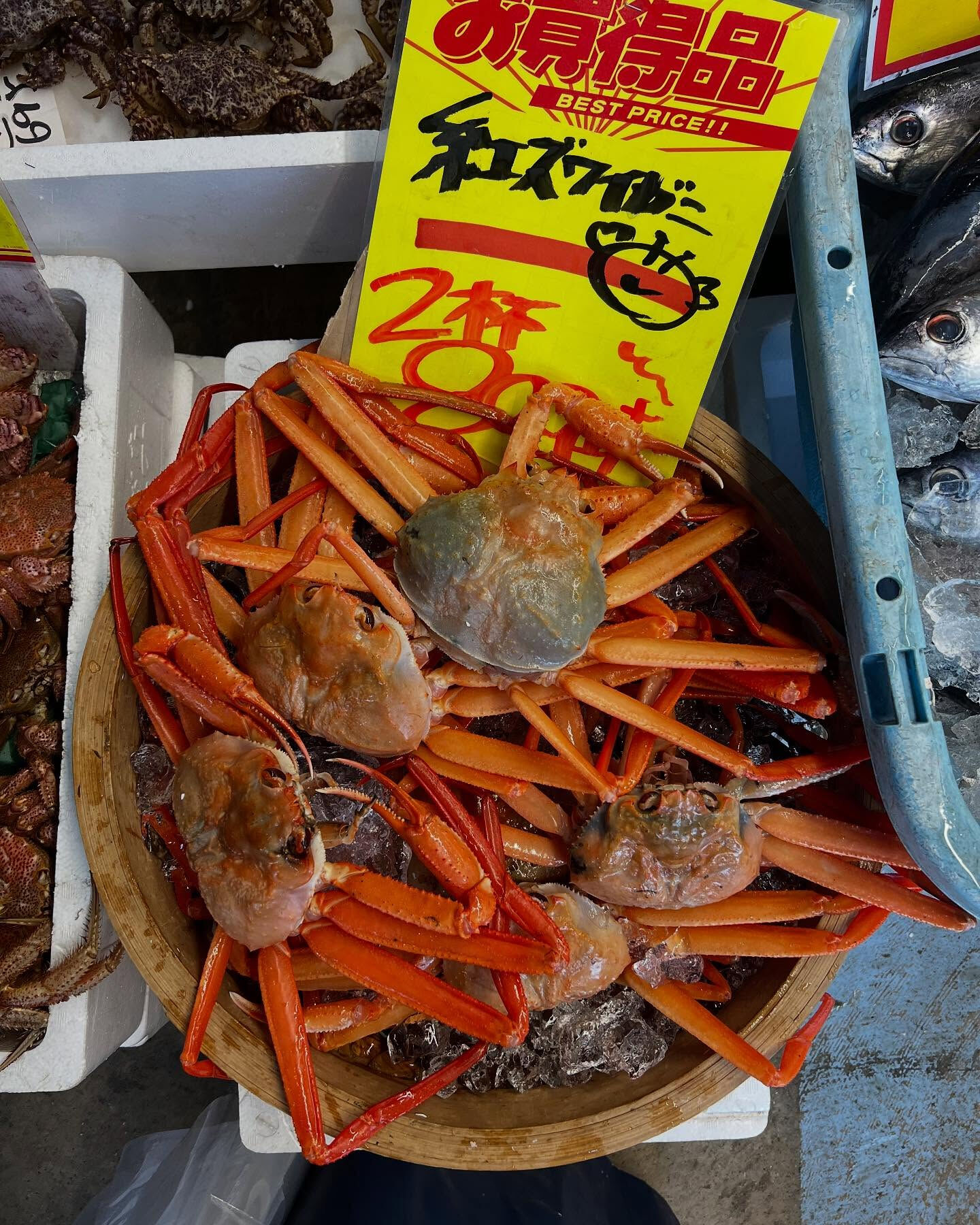 本日土曜日startしてます！！