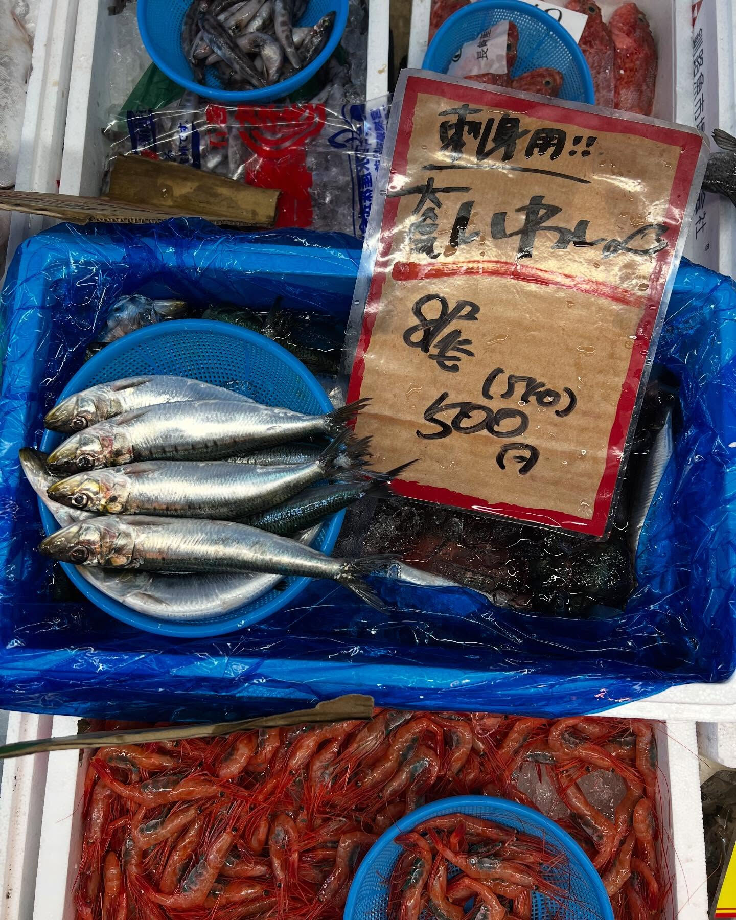 本日土曜日startしてます！！