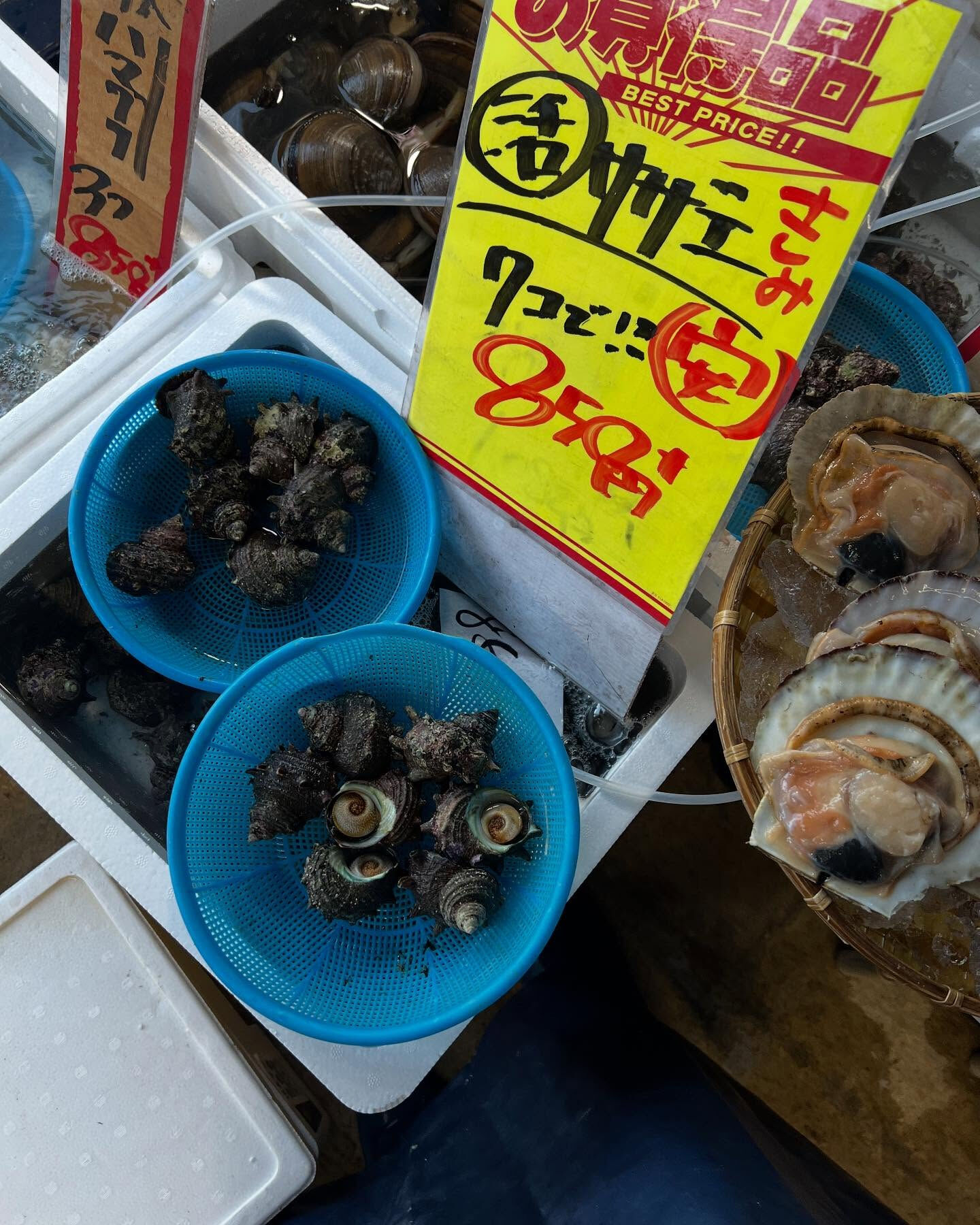 本日土曜日startしてます！！