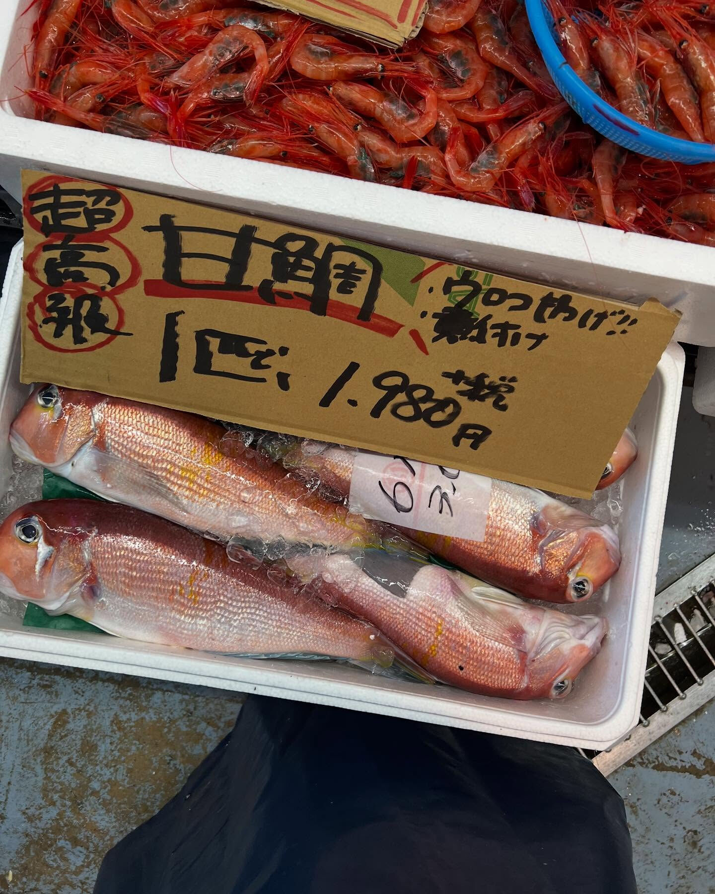 本日土曜日startしてます！！