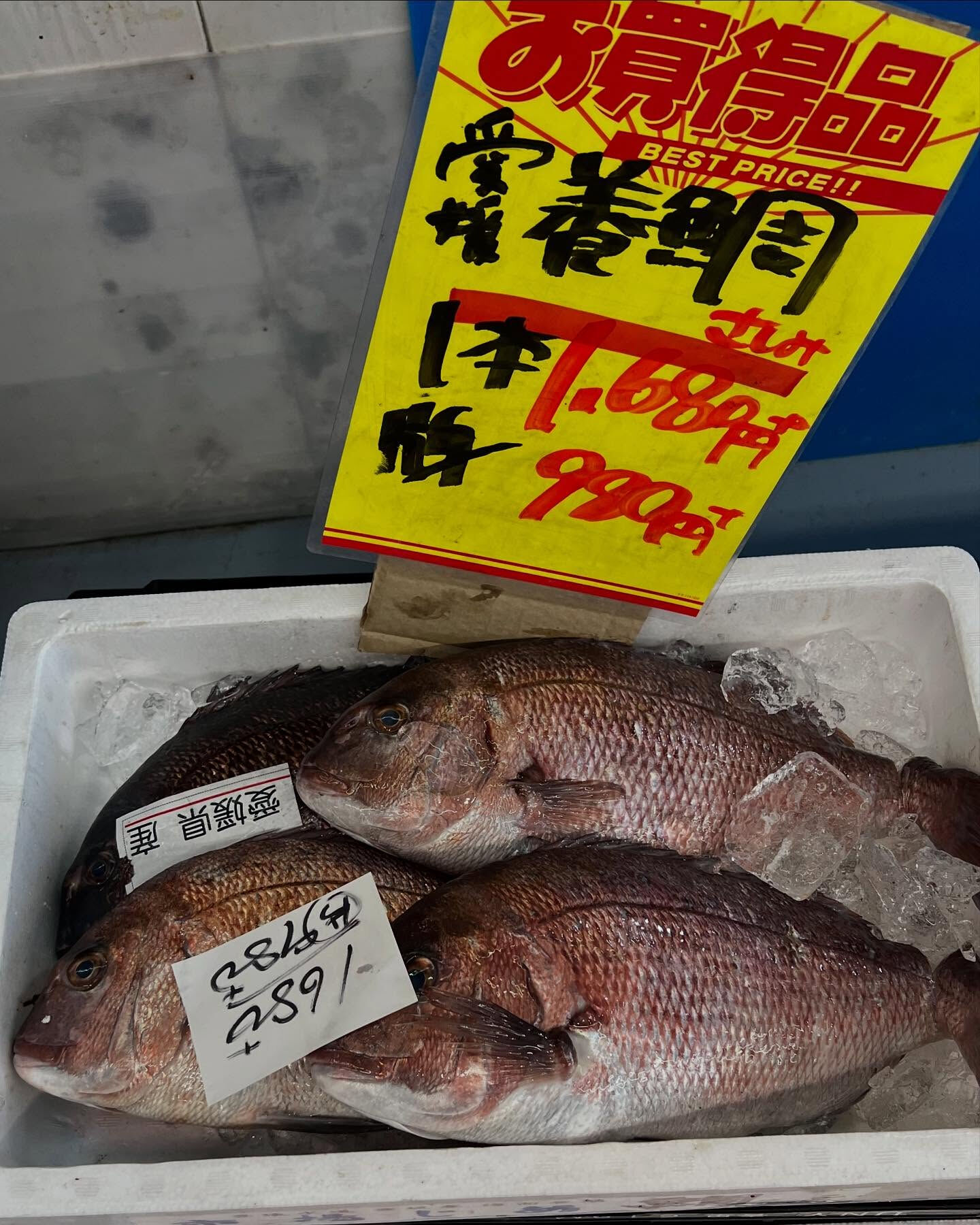 本日土曜日startしてます！！