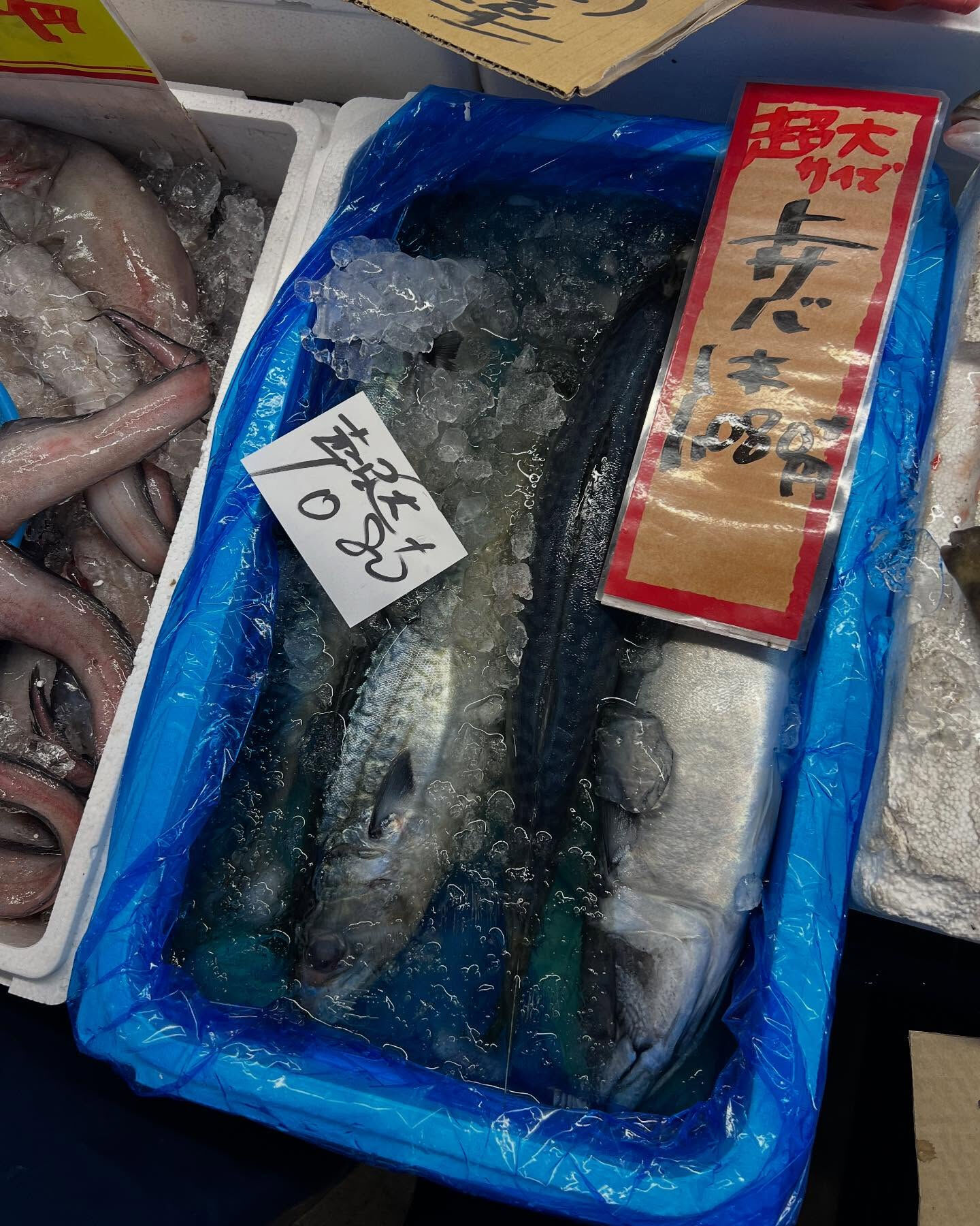 本日土曜日startしてます！！