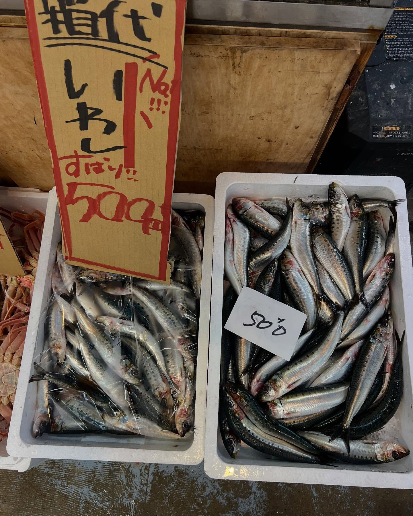 本日日曜もstartしてます！！