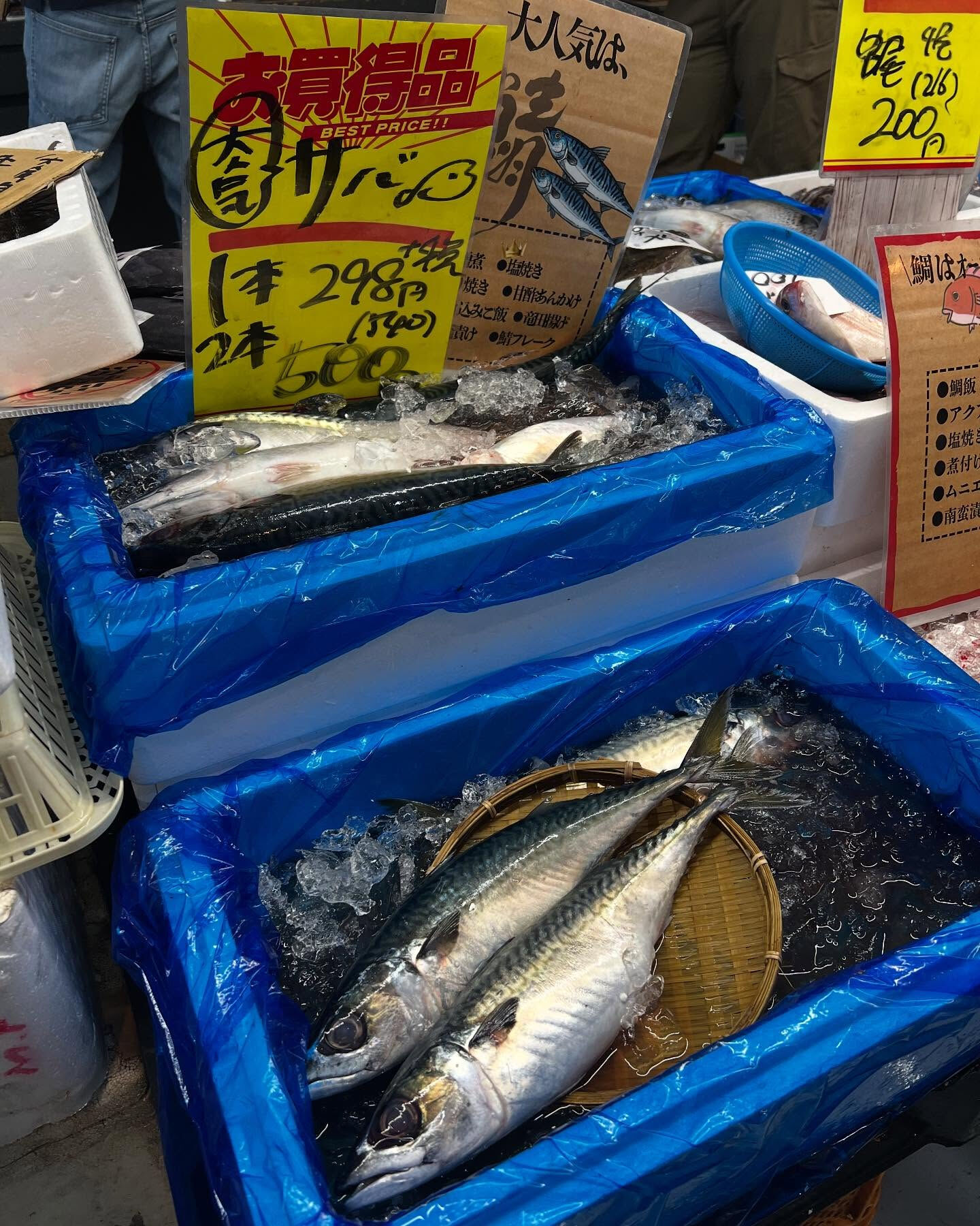 本日日曜もstartしてます！！
