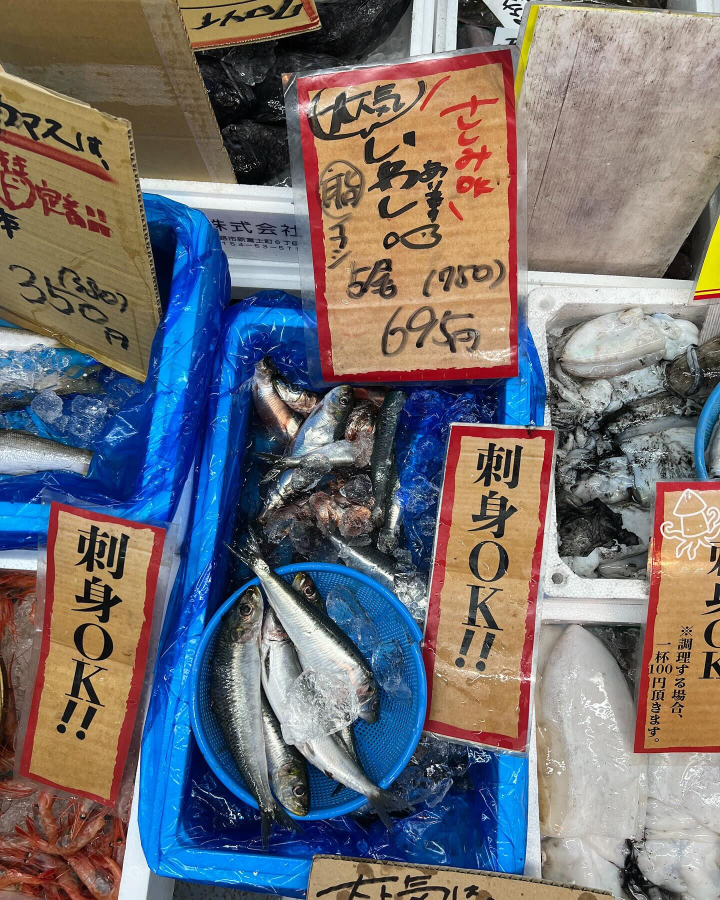 本日日曜もstartしてます！！
