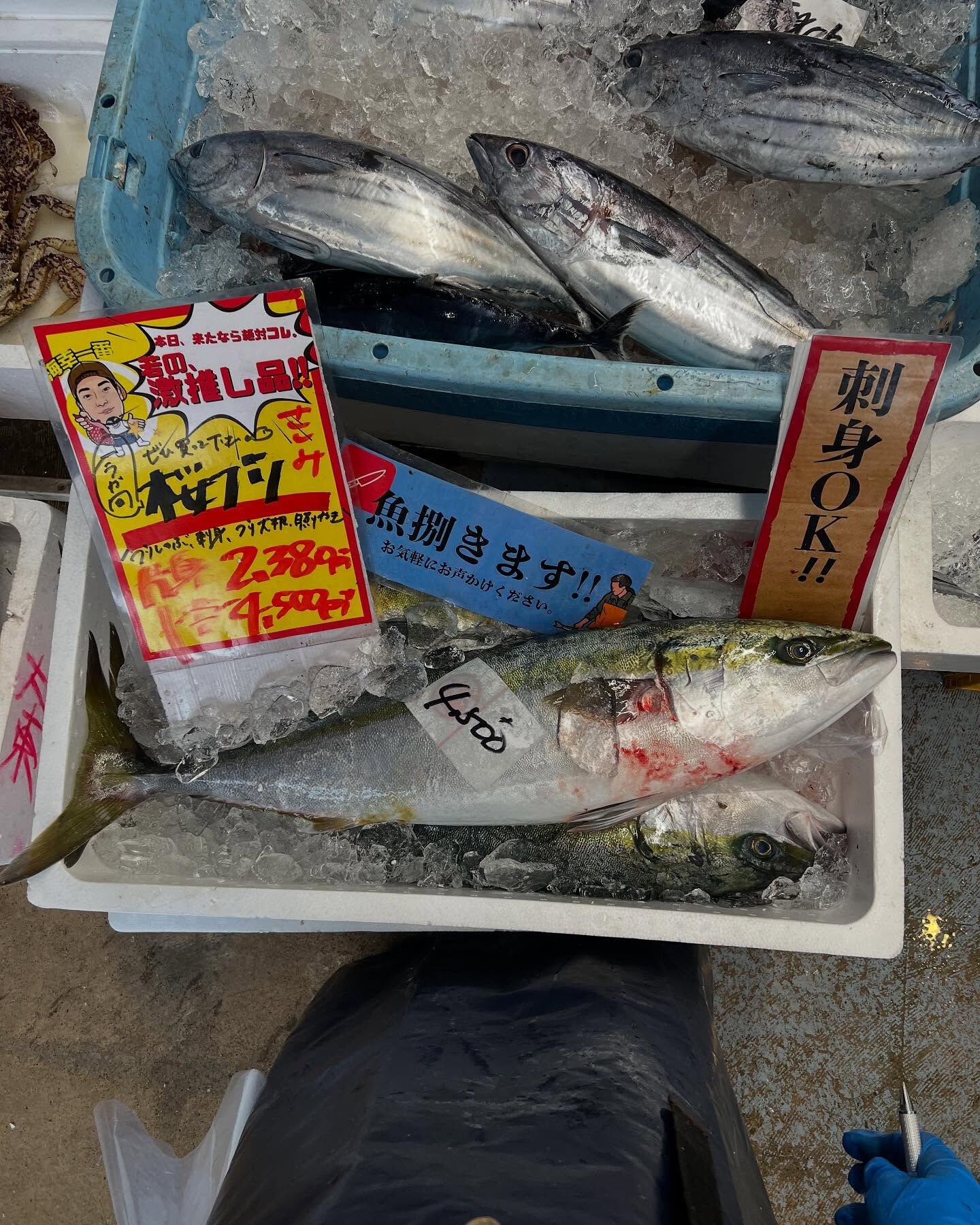 本日日曜もstartしてます！！