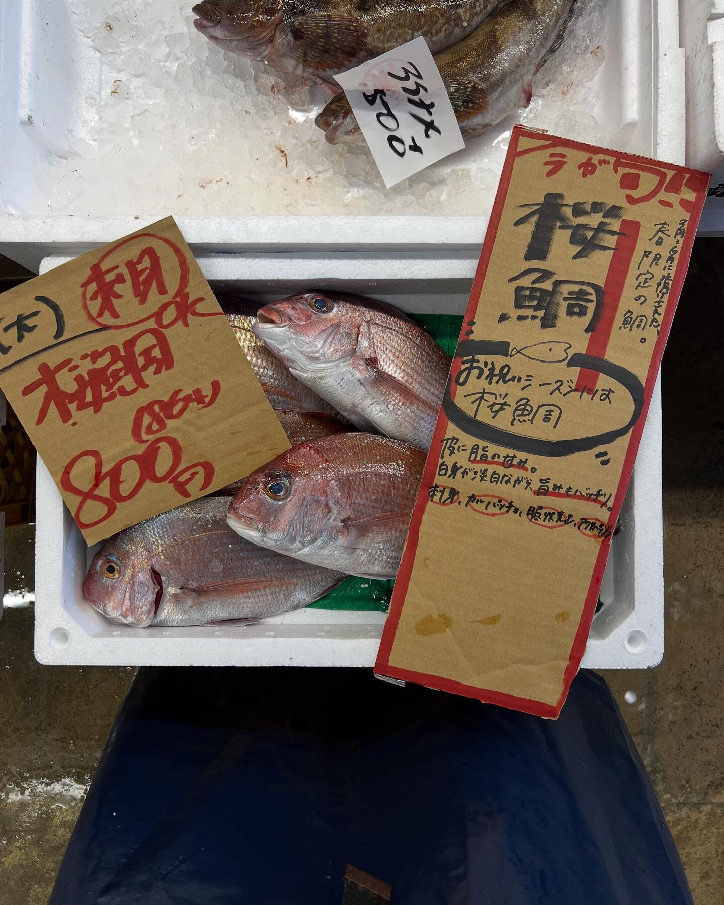 本日火曜もstartしてます！！