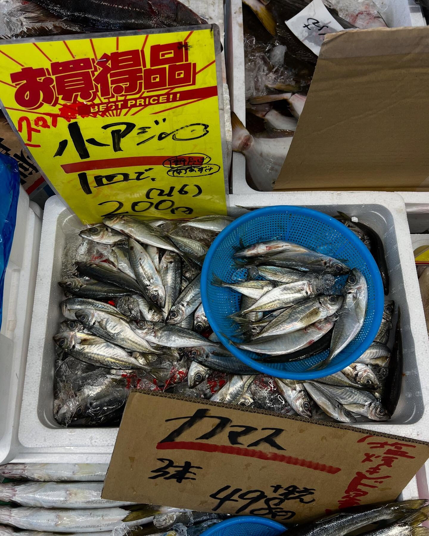 本日火曜もstartしてます！！