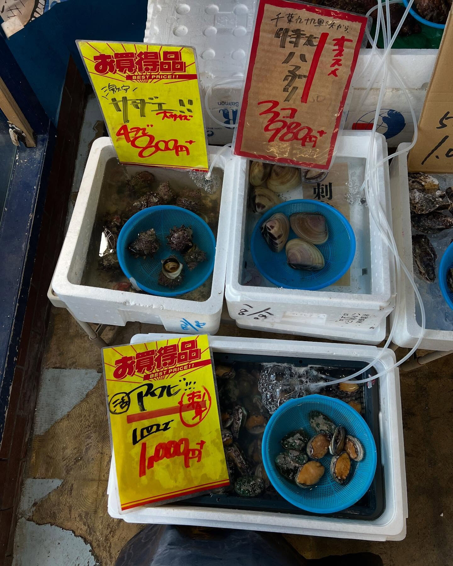本日火曜もstartしてます！！