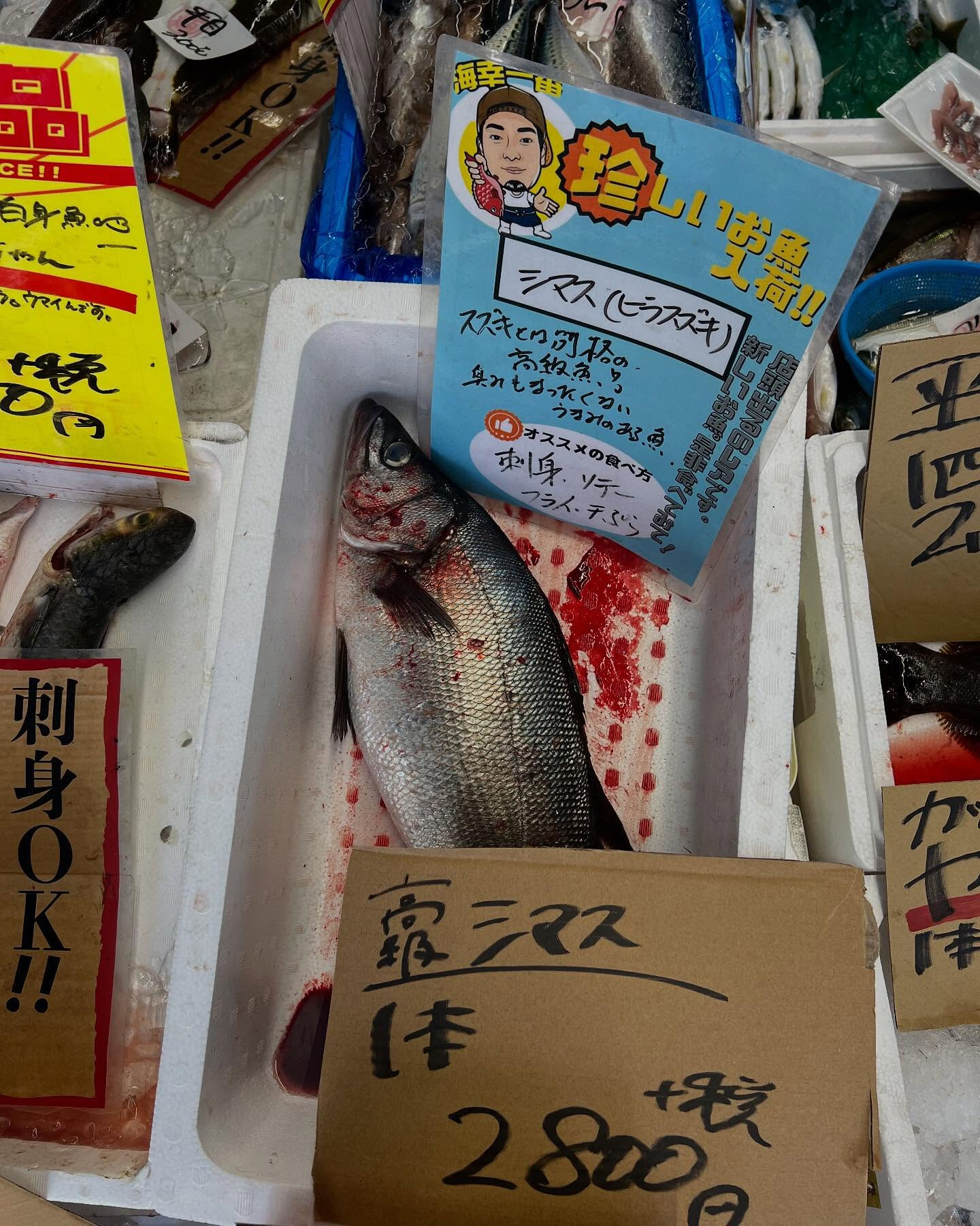 本日火曜もstartしてます！！