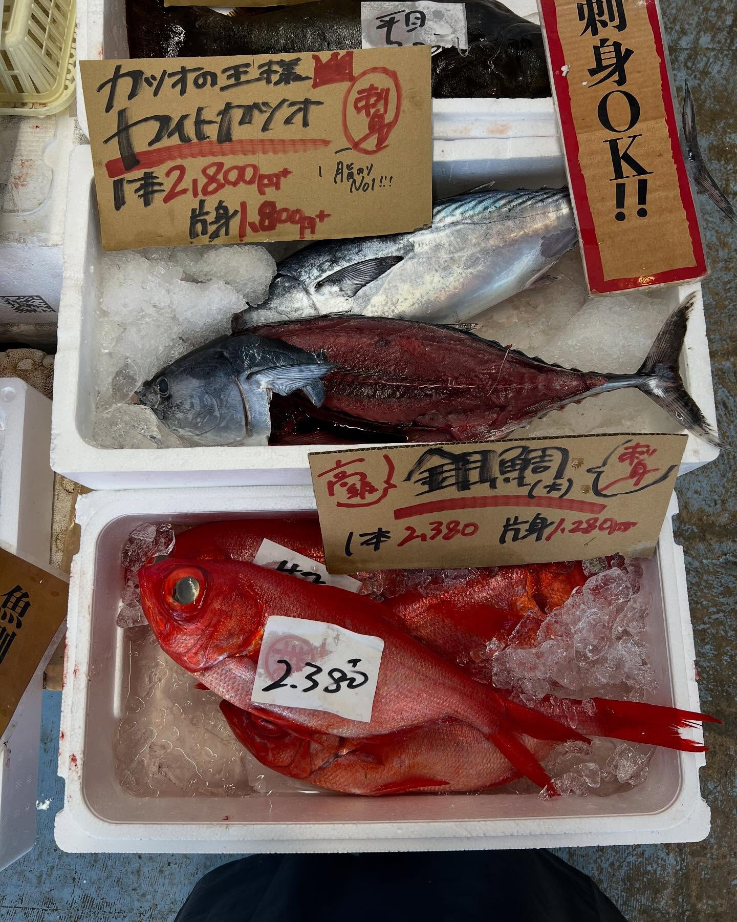 本日火曜もstartしてます！！