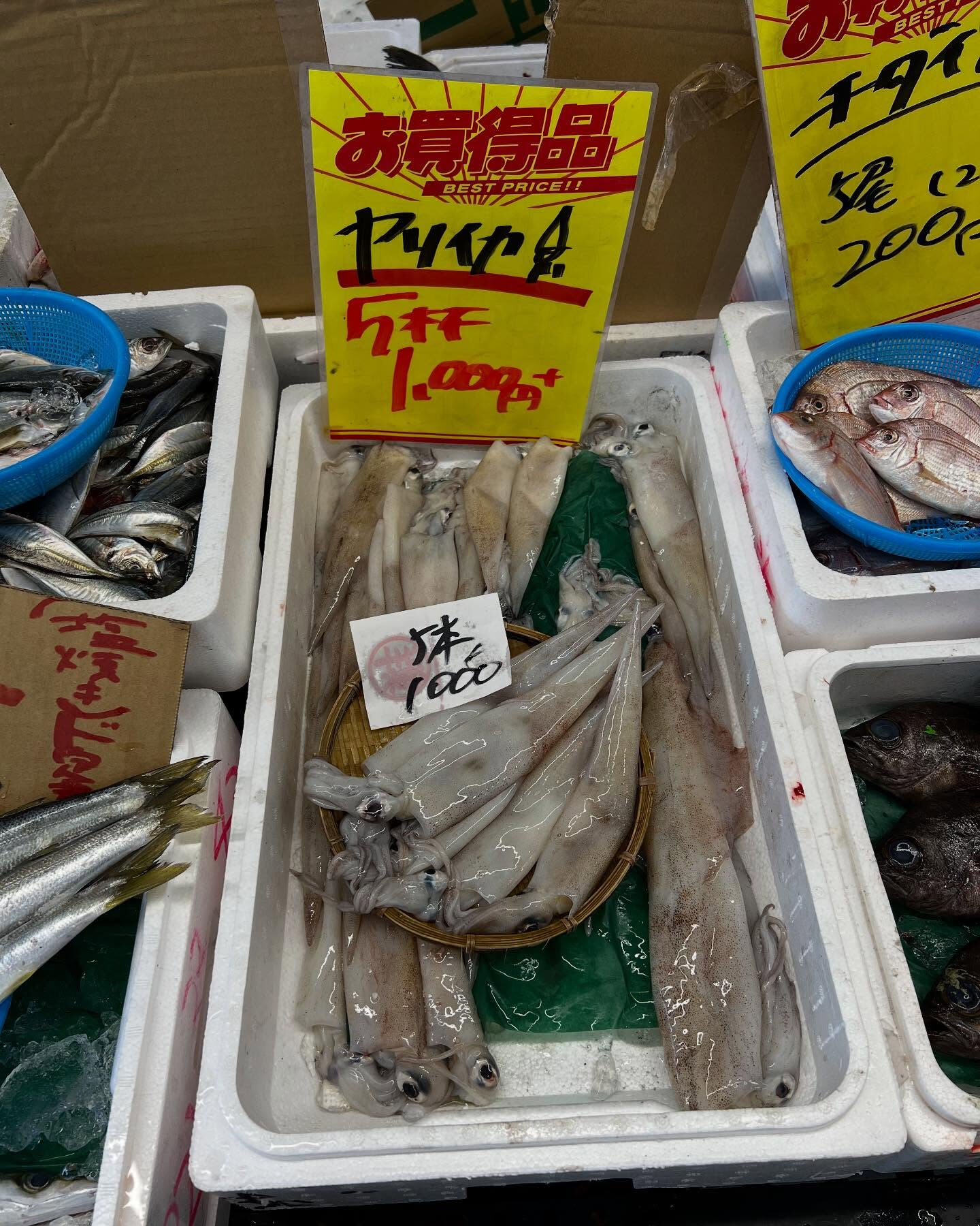 本日火曜もstartしてます！！