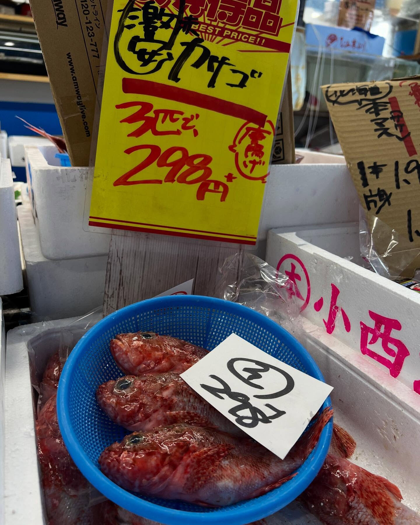 本日木曜もstart！！
