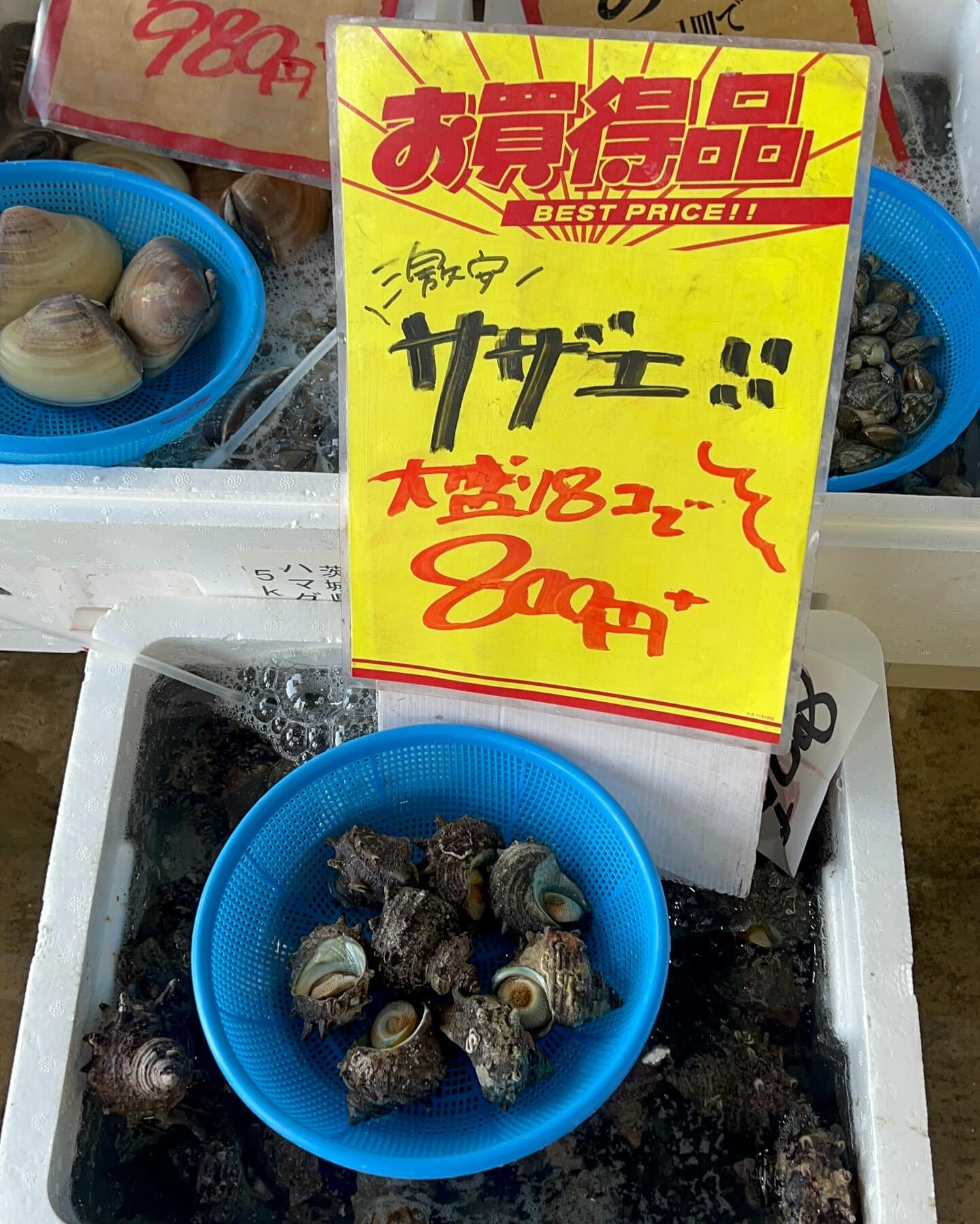 本日木曜もstart！！