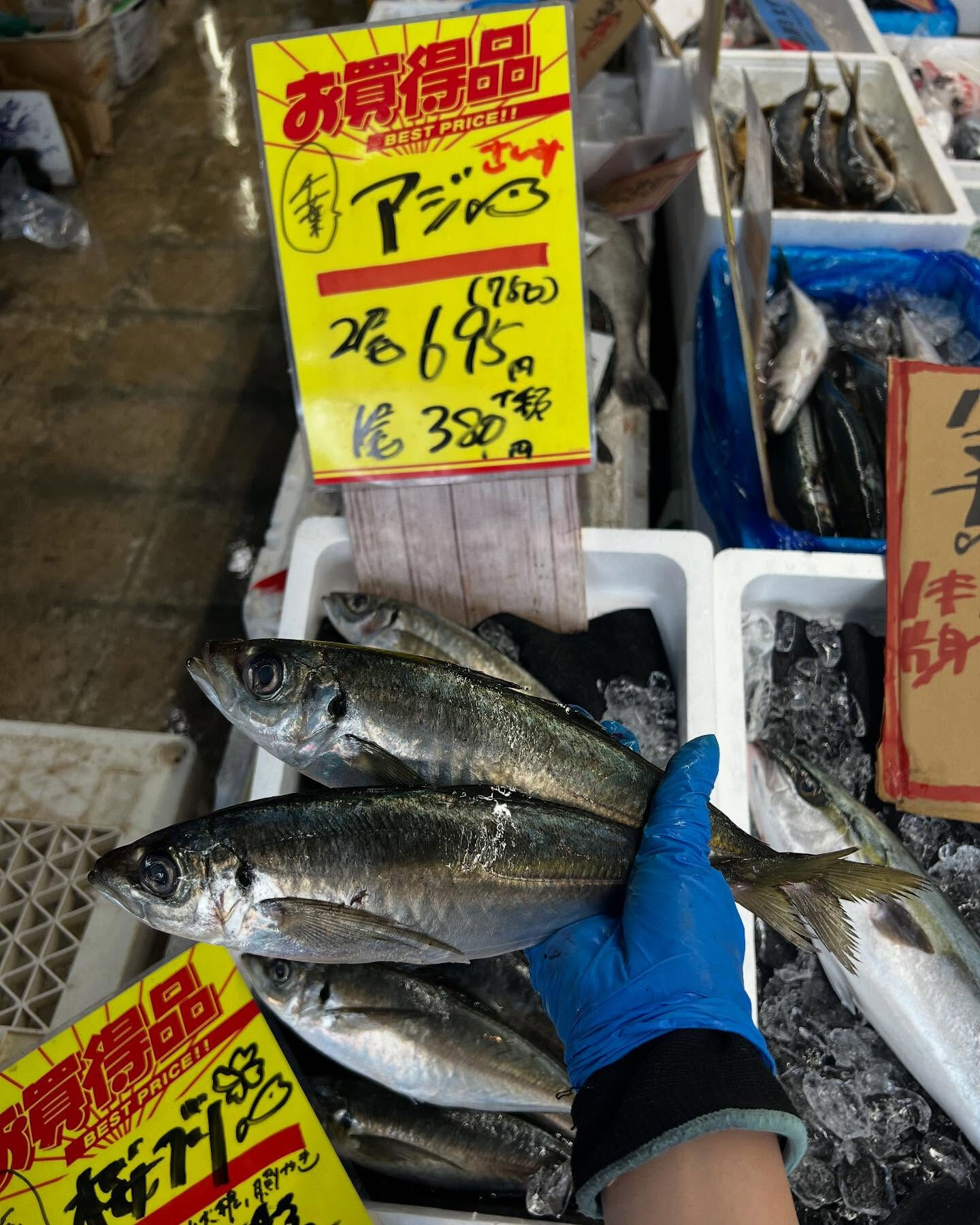 本日土曜もstart！！