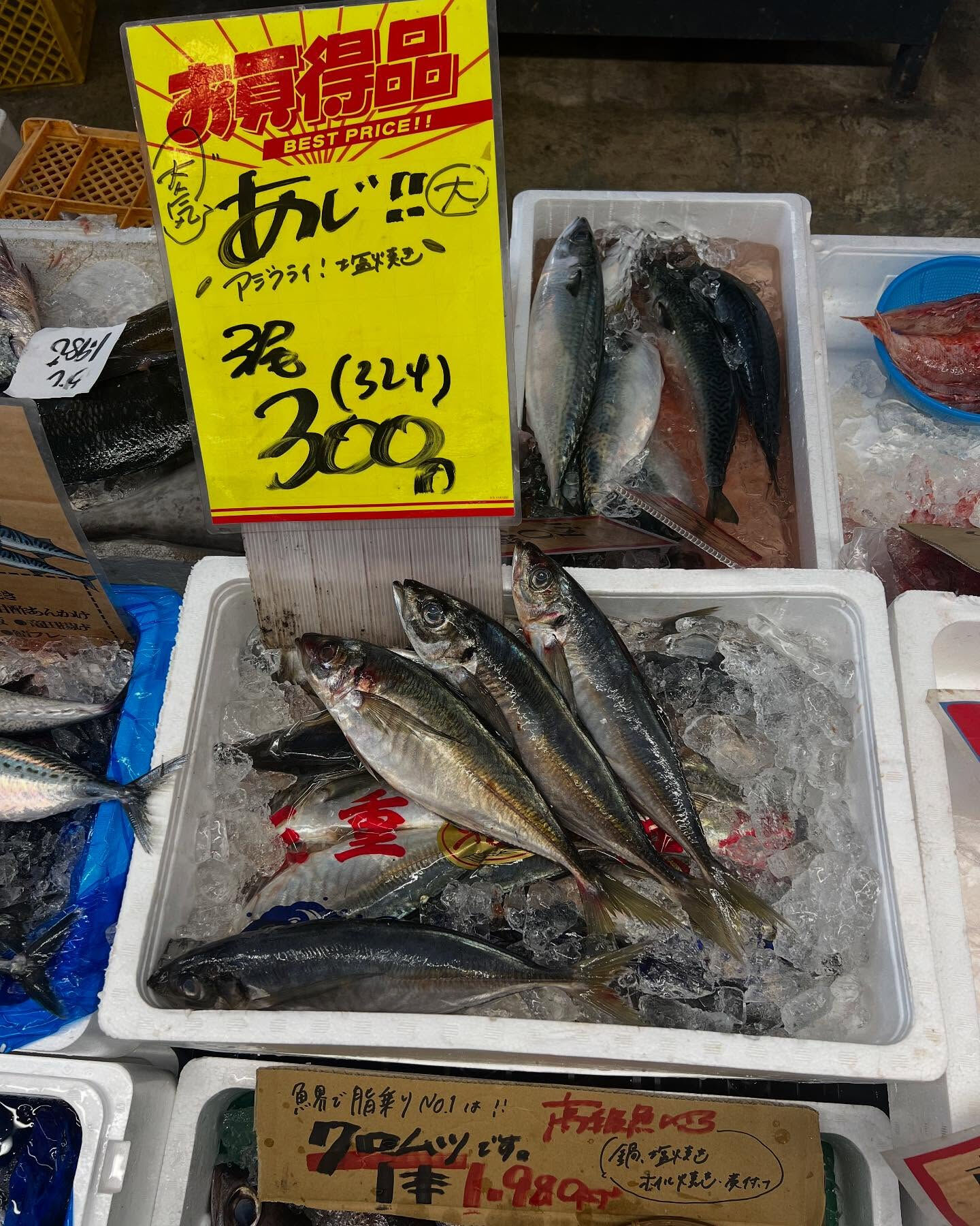 本日土曜もstart！！