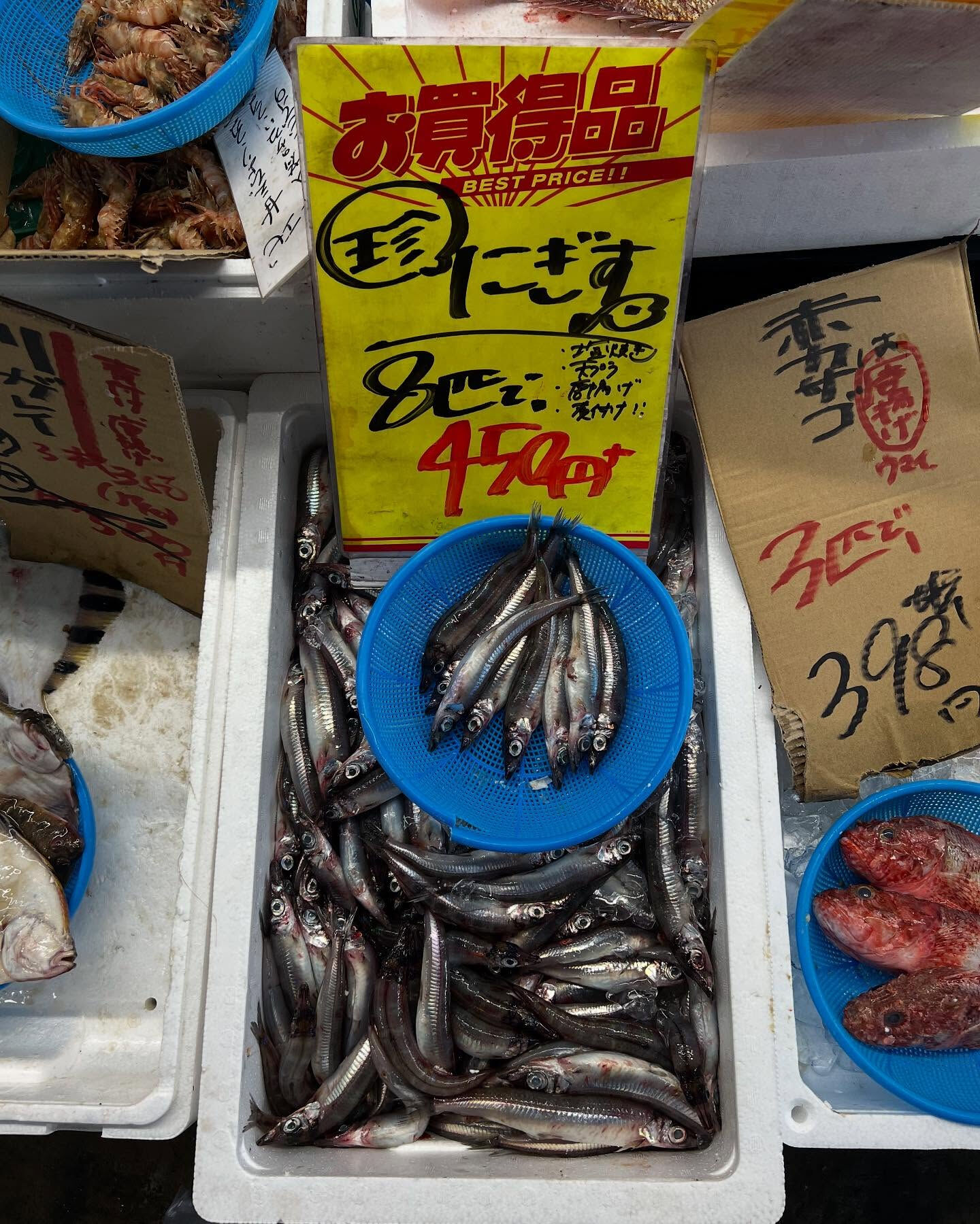 本日土曜もstart！！