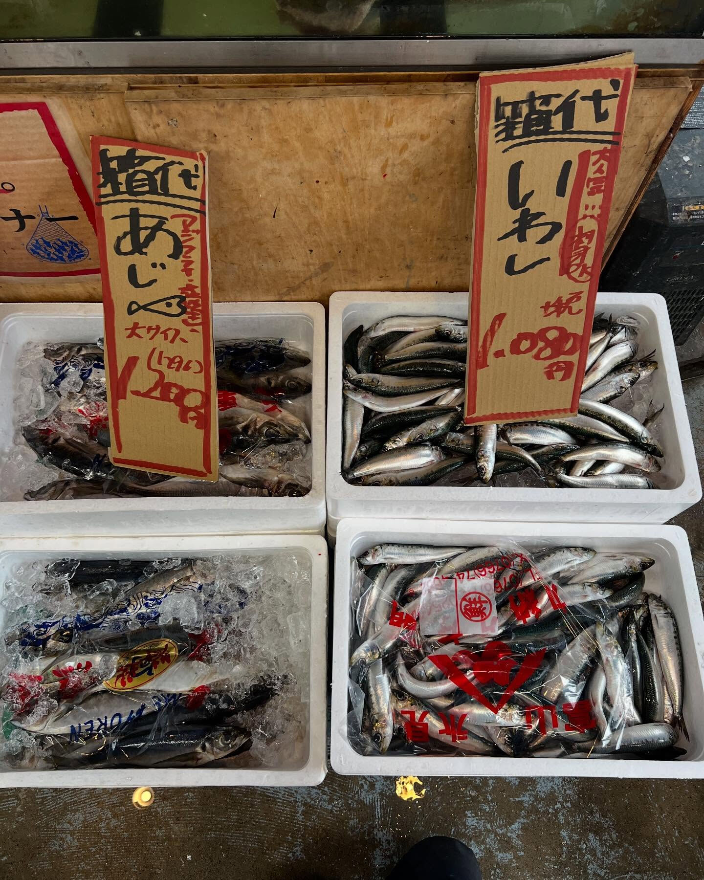 本日日曜も間も無くstart！！