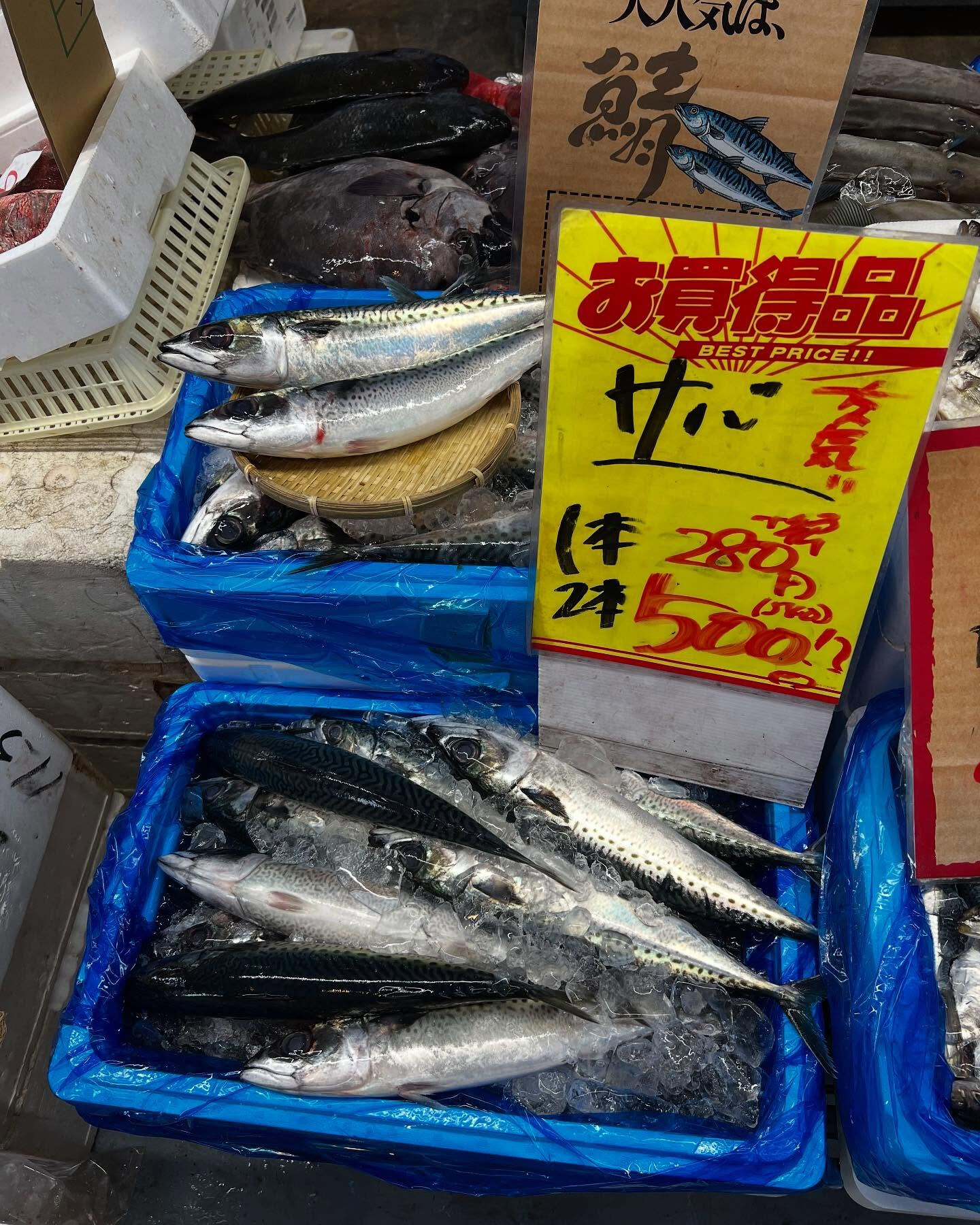本日日曜も間も無くstart！！