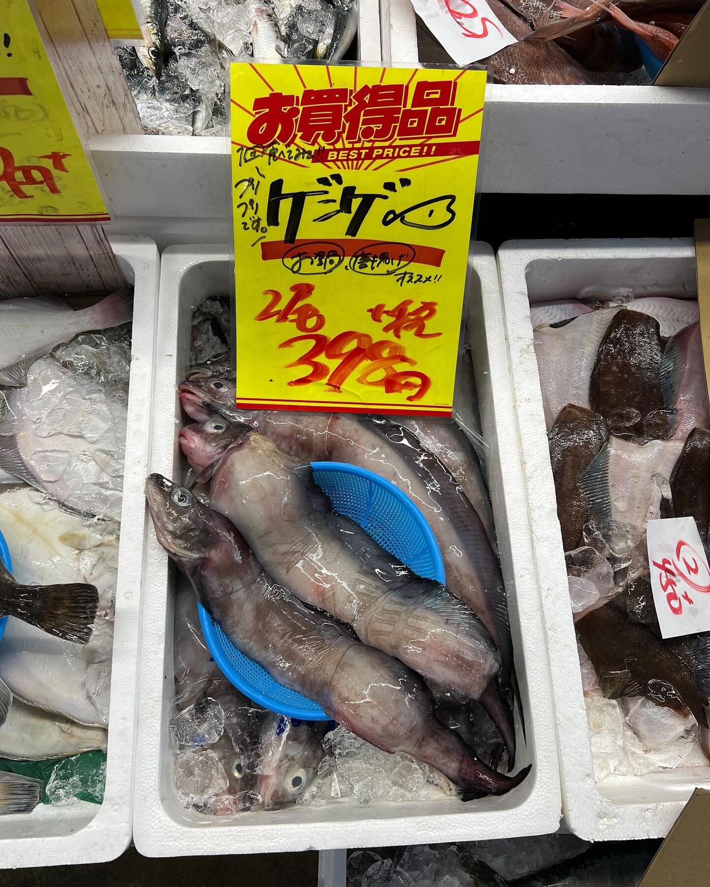 本日日曜も間も無くstart！！