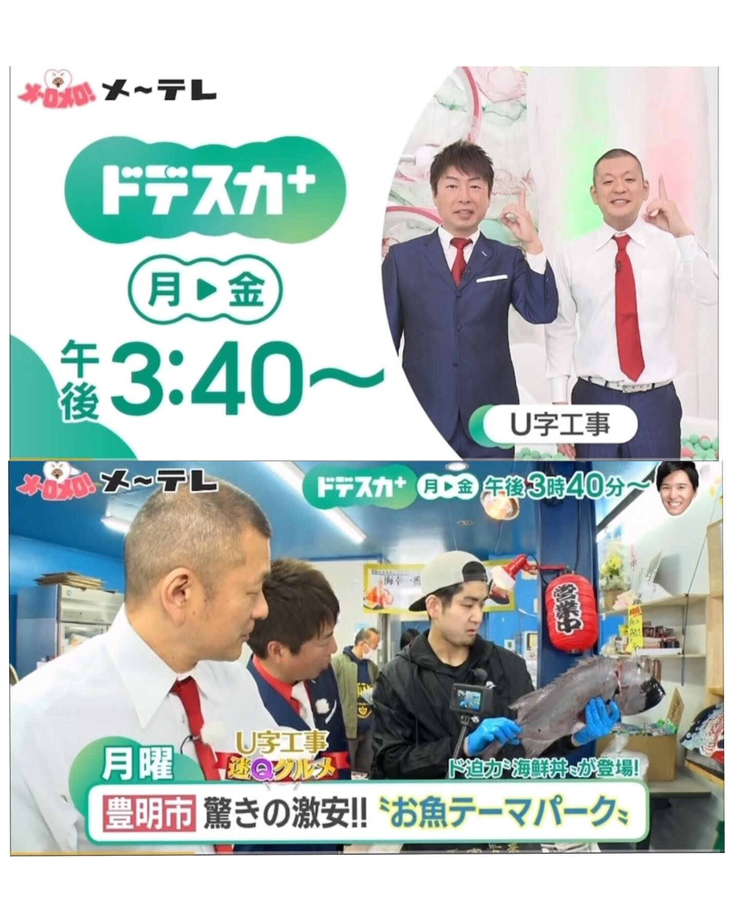 【メディア出演情報】