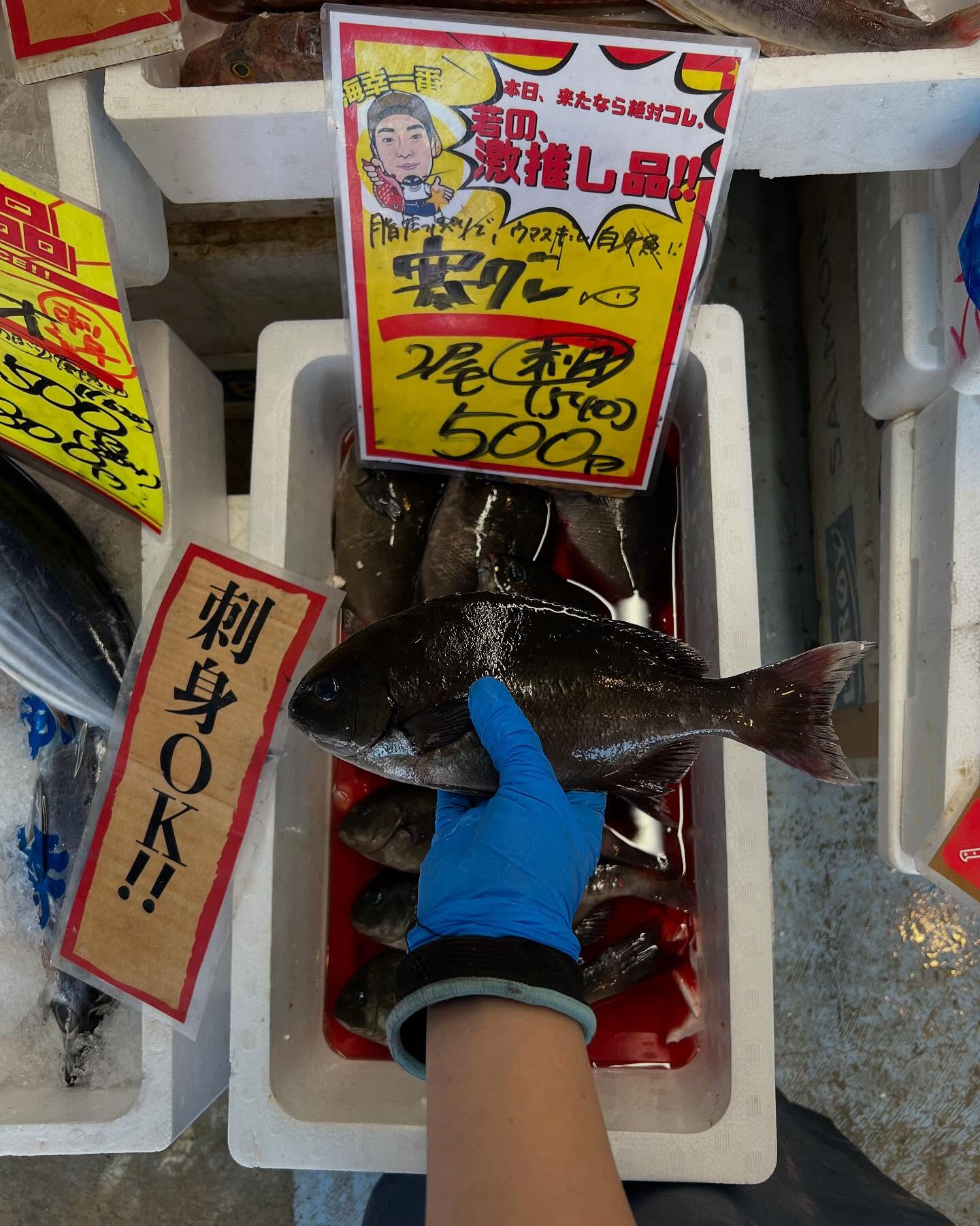 本日木曜もstart！！