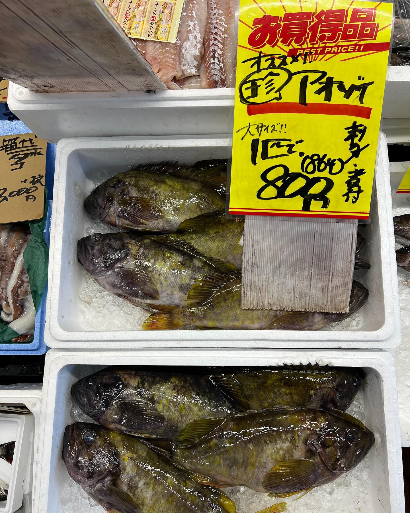本日木曜もstart！！