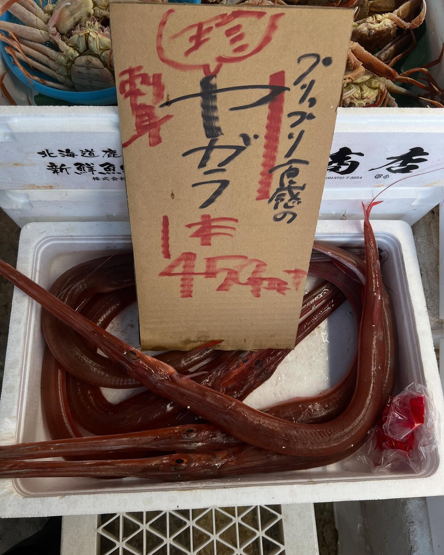 本日木曜もstart！！
