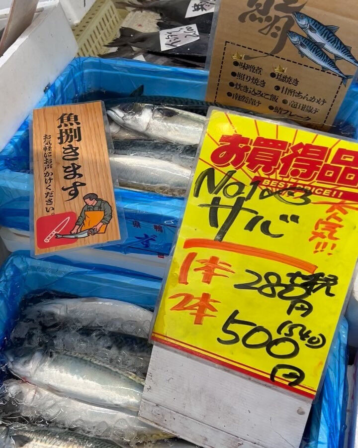 本日木曜もstart！！