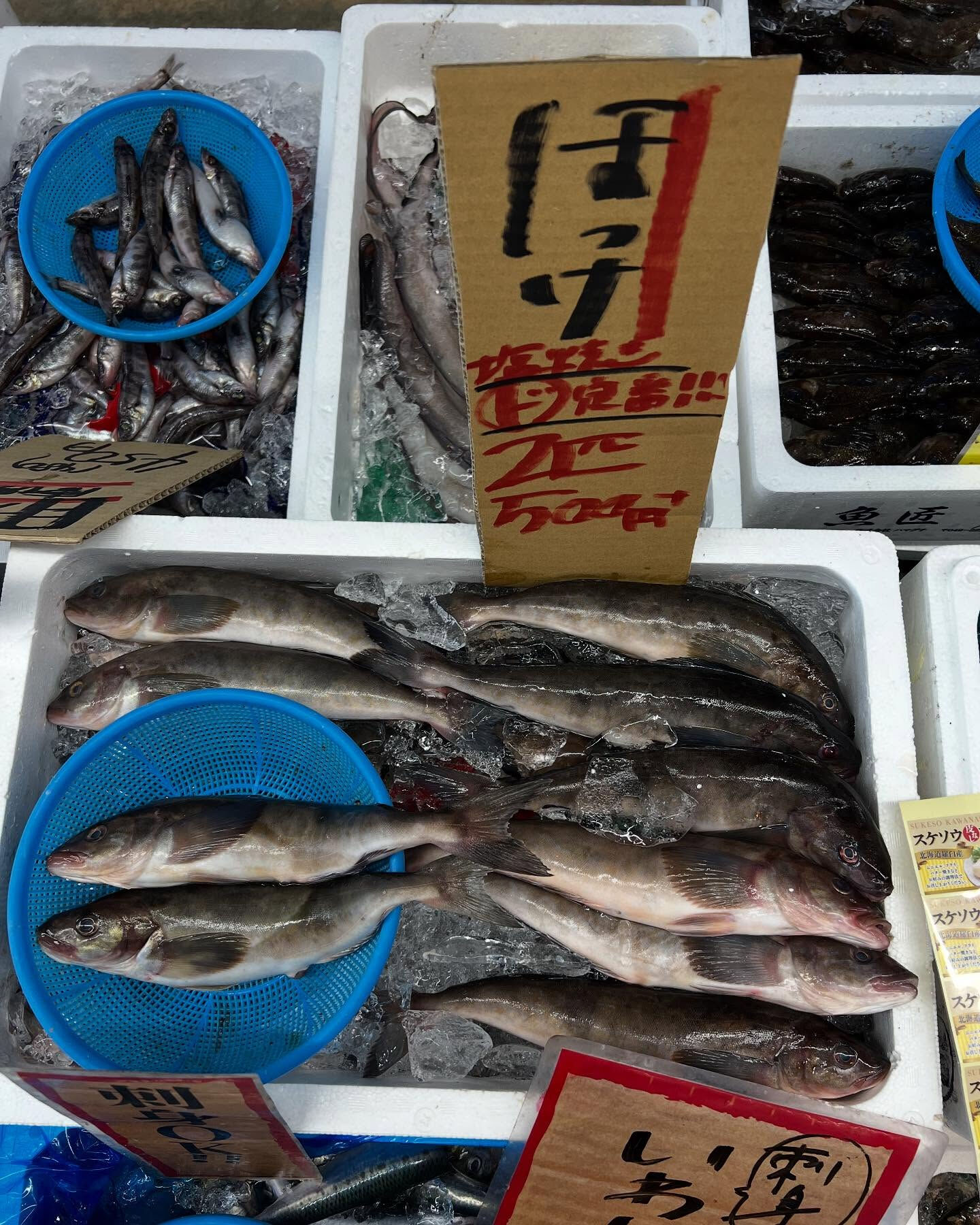 本日金曜もstart！！