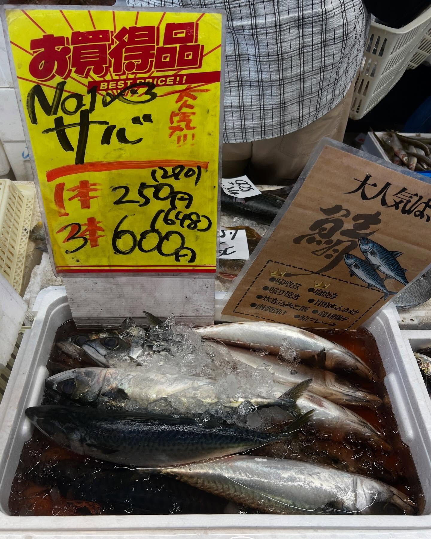 本日金曜もstart！！
