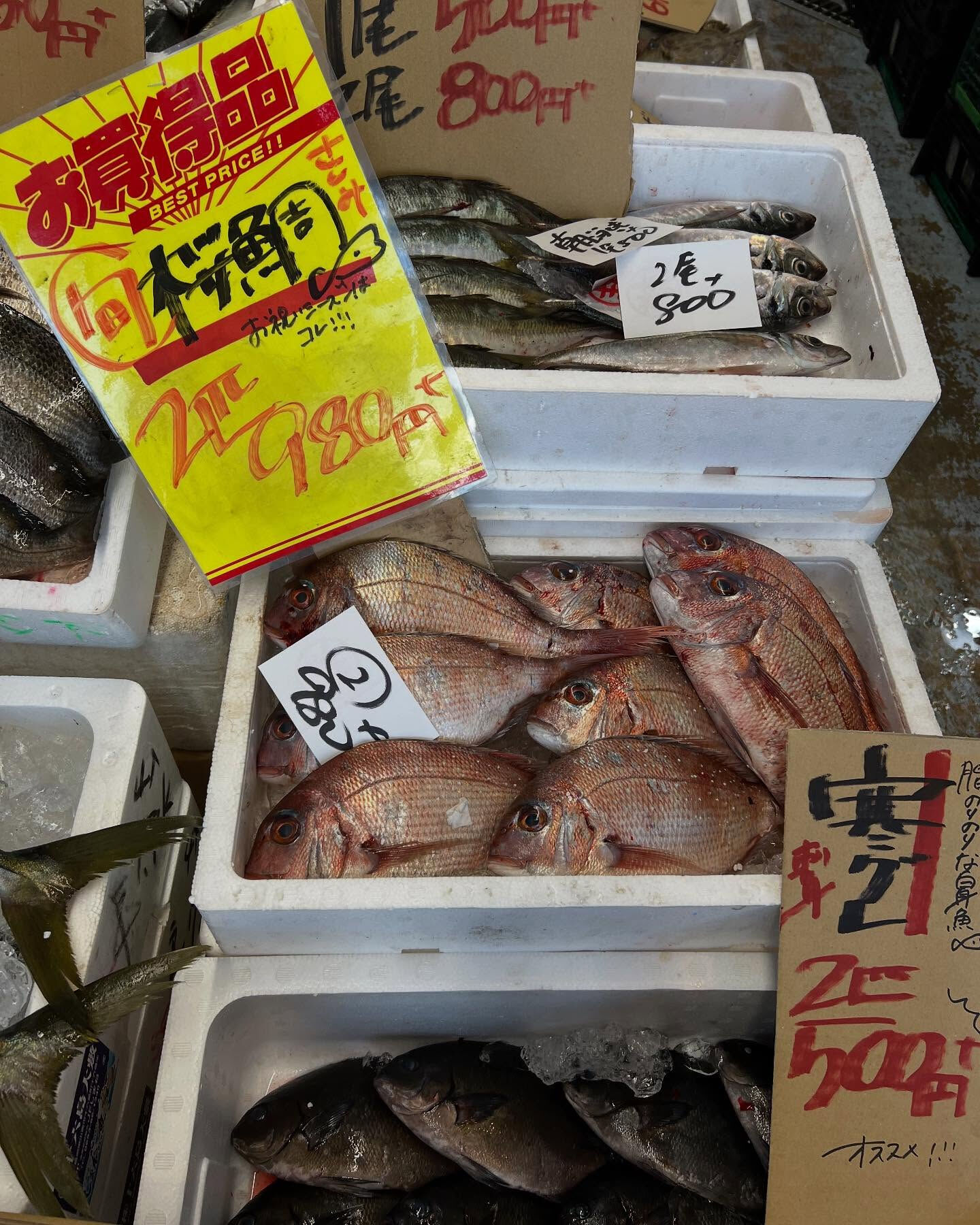 本日金曜もstart！！
