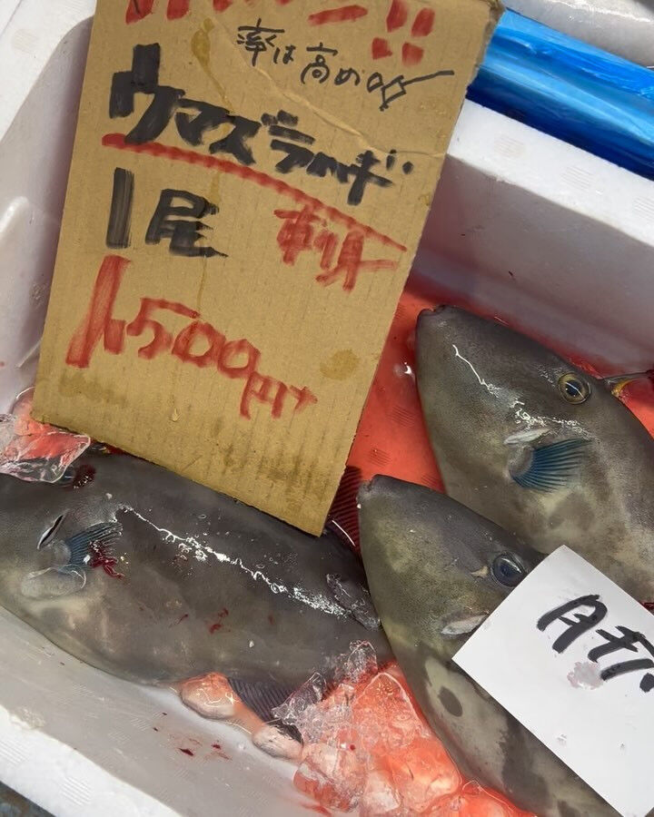 本日金曜もstart！！