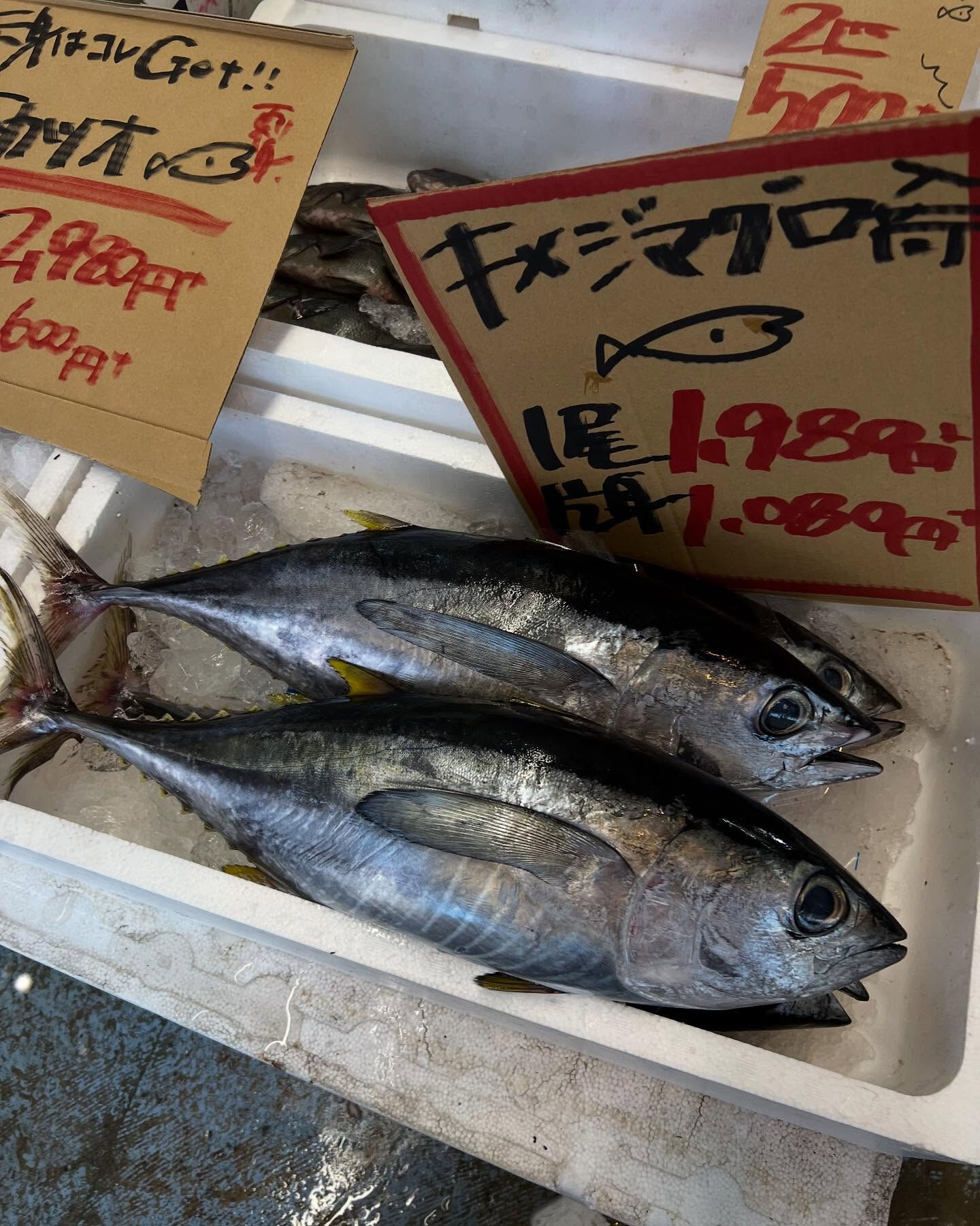 本日金曜もstart！！