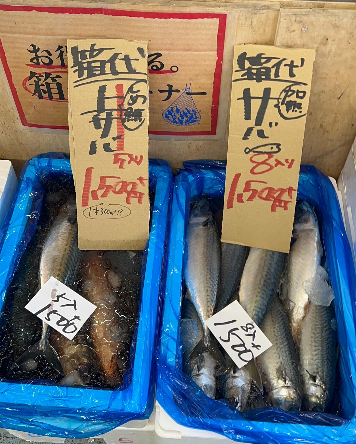 本日日曜も沢山のご来店ありがとうございます！