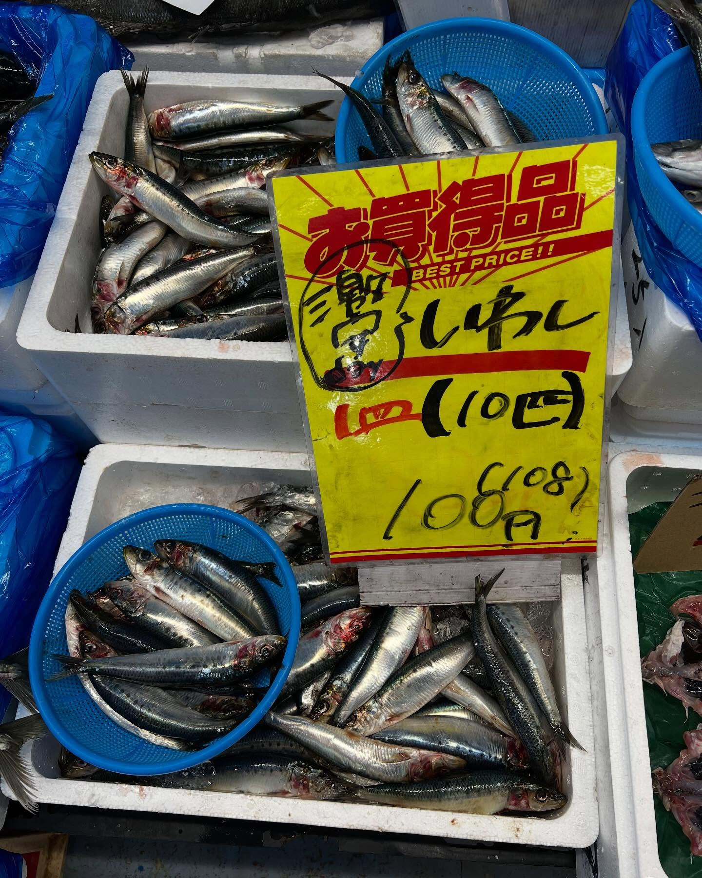 本日日曜も沢山のご来店ありがとうございます！