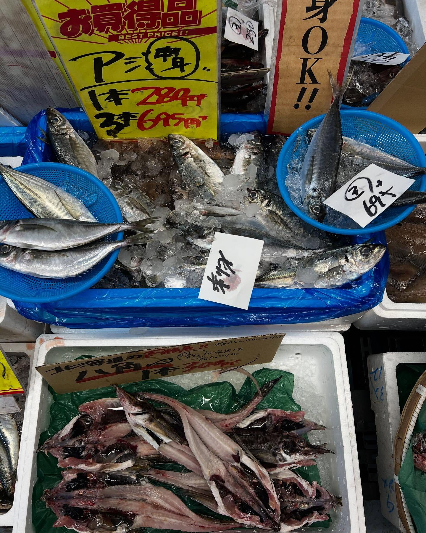 本日日曜も沢山のご来店ありがとうございます！