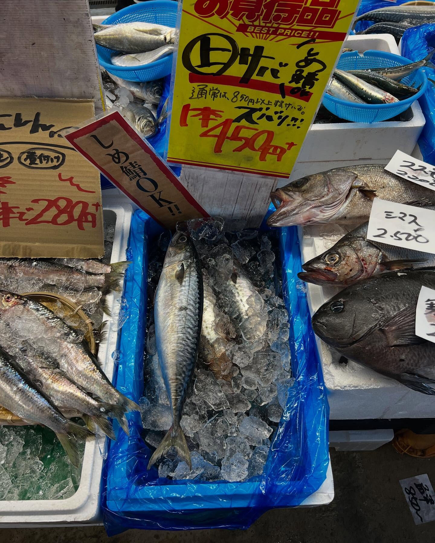 本日日曜も沢山のご来店ありがとうございます！