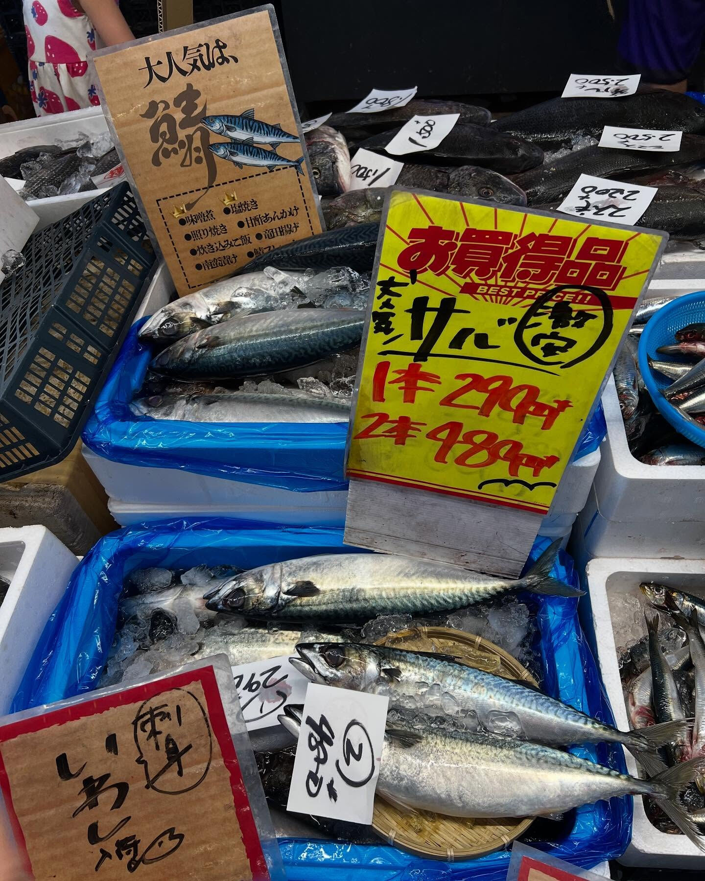 本日日曜も沢山のご来店ありがとうございます！