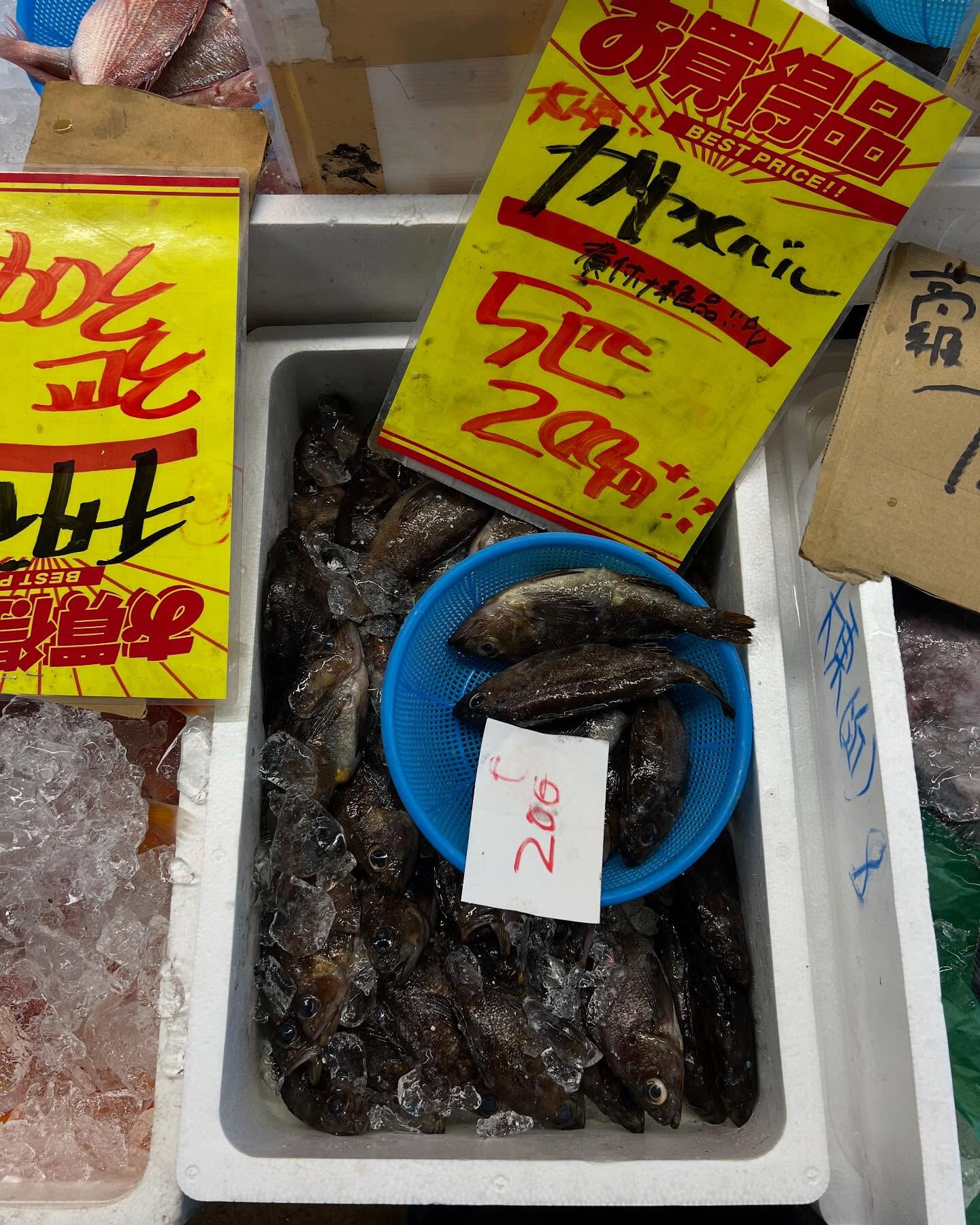 本日日曜も沢山のご来店ありがとうございます！