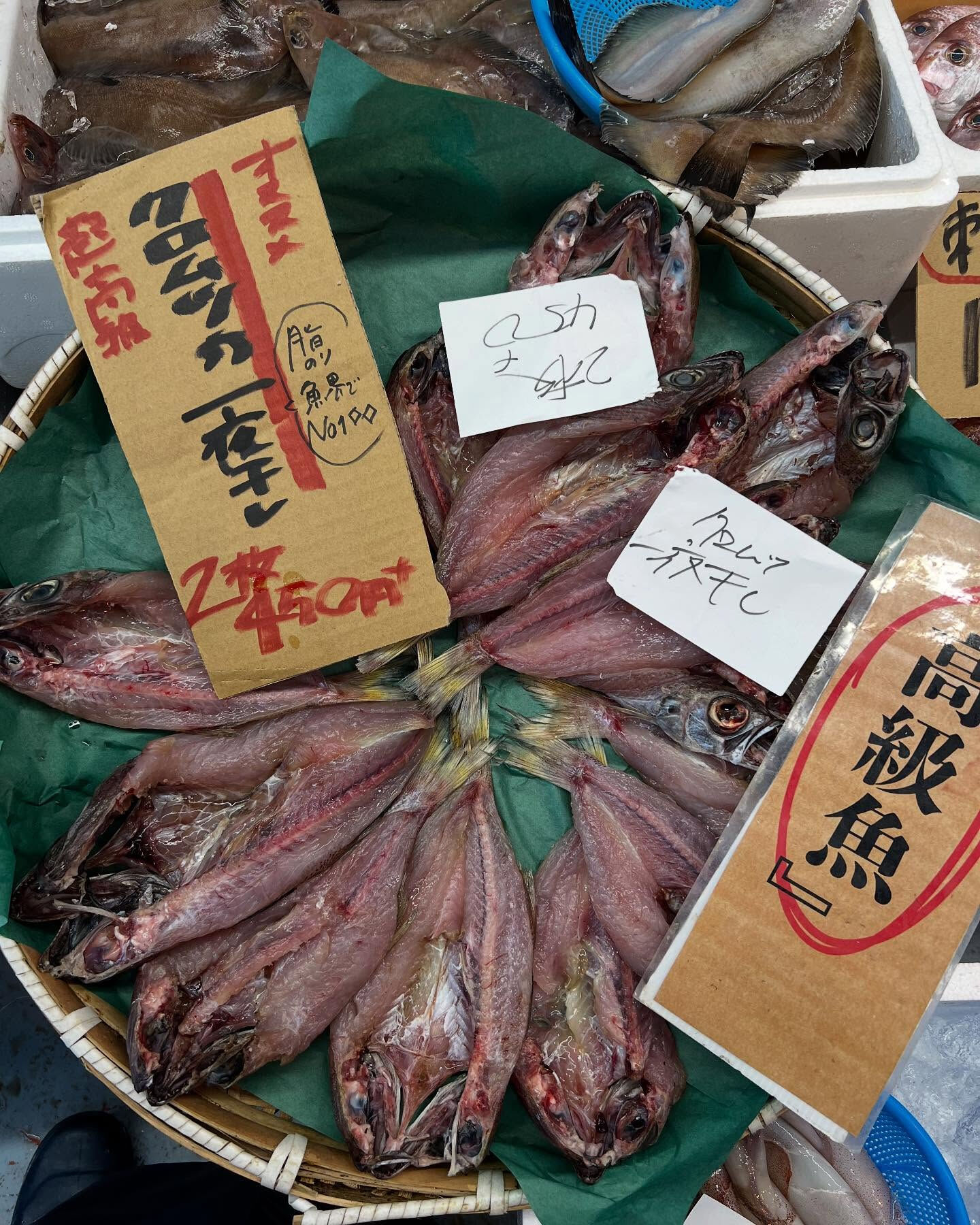 本日日曜も沢山のご来店ありがとうございます！