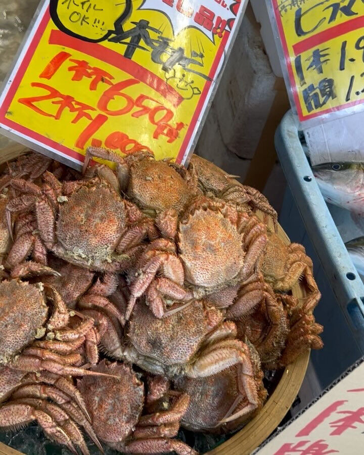 本日日曜も沢山のご来店ありがとうございます！