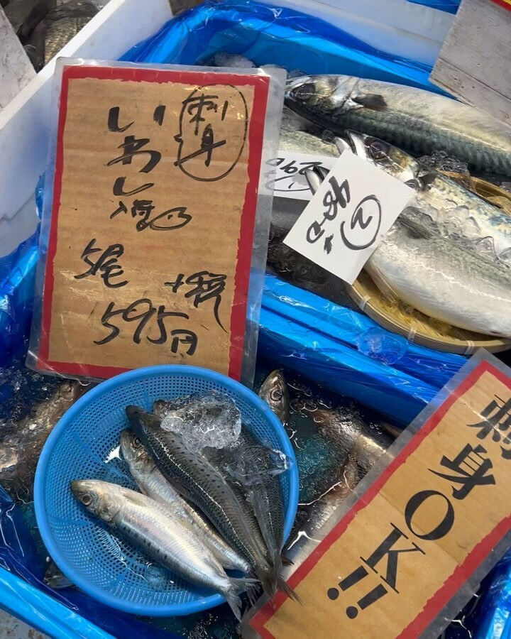 本日日曜も沢山のご来店ありがとうございます！