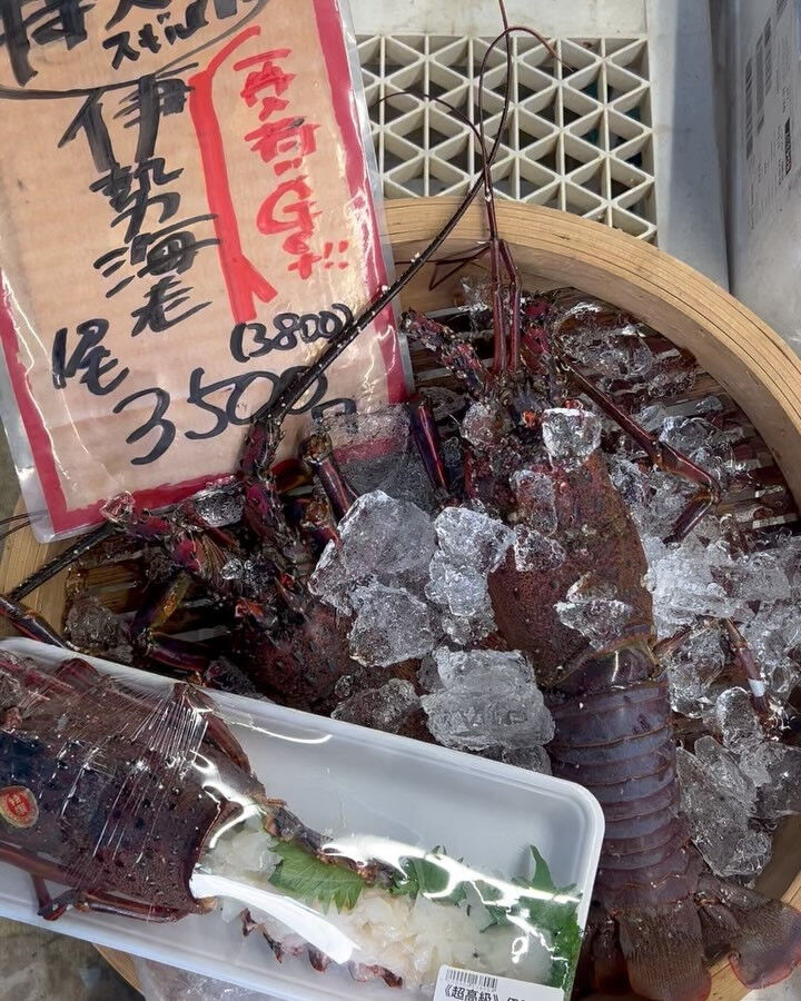 本日、火曜もstart🐟