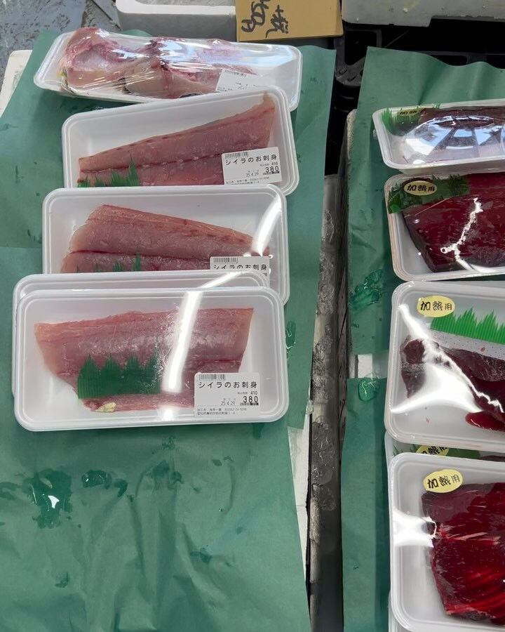 本日、火曜もstart🐟
