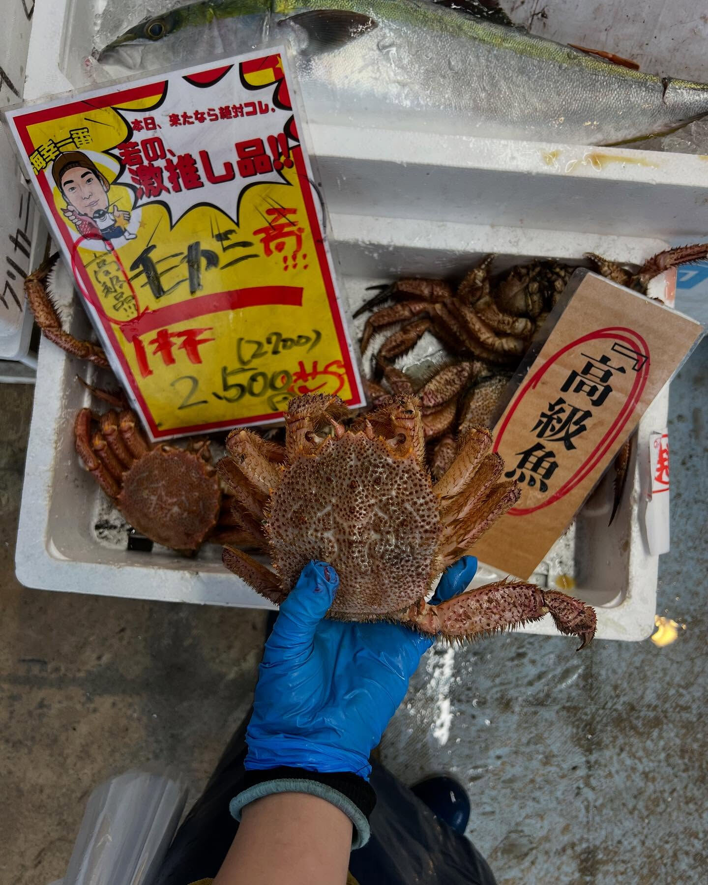 本日、金曜もstart🐟