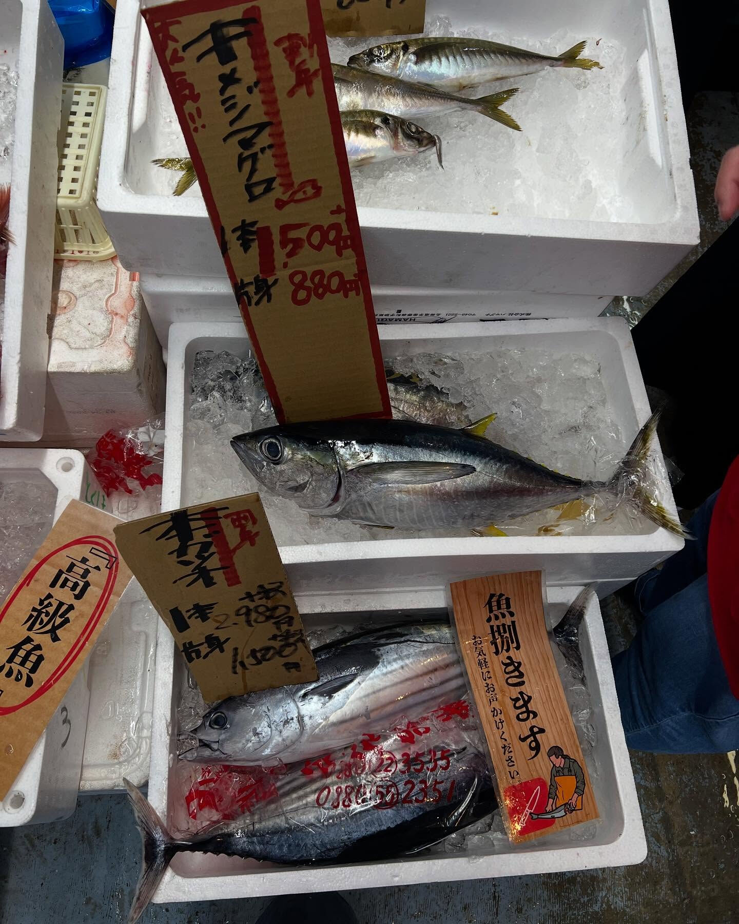 本日、金曜もstart🐟